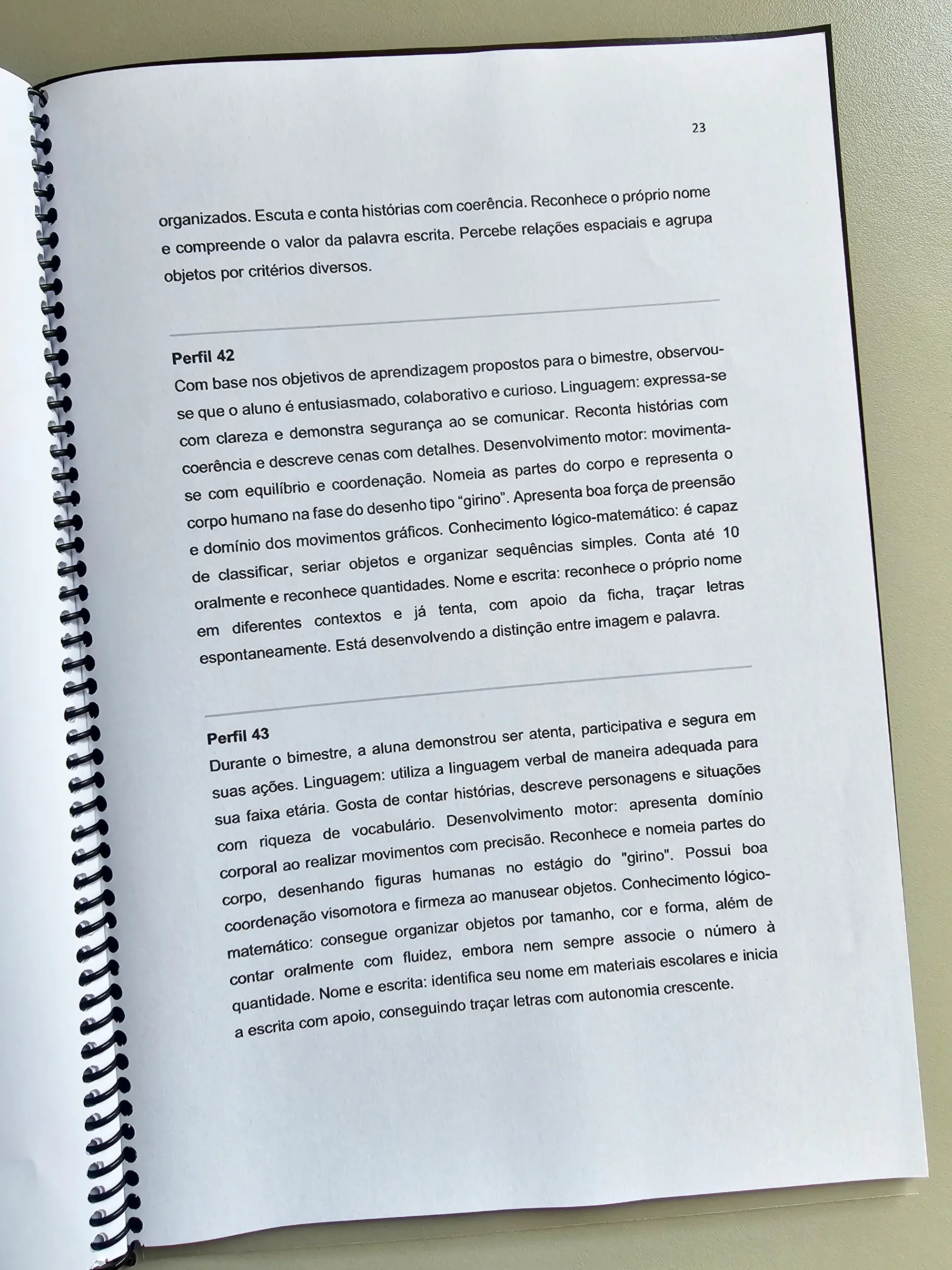 📚✨ 121 RELATÓRIOS INDIVIDUAIS – EDUCAÇÃO INFANTIL — amostra 4: O material 121 Relatórios Individuais – Educação Infantil…