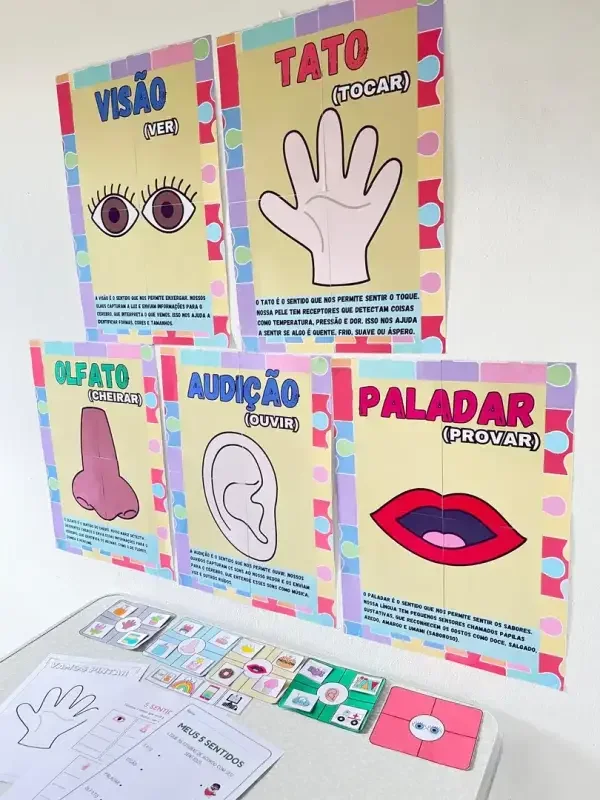 5 Sentidos: Recurso Interativo para Educação Infantil e Alfabetização — amostra 3: 5 Sentidos em PDF