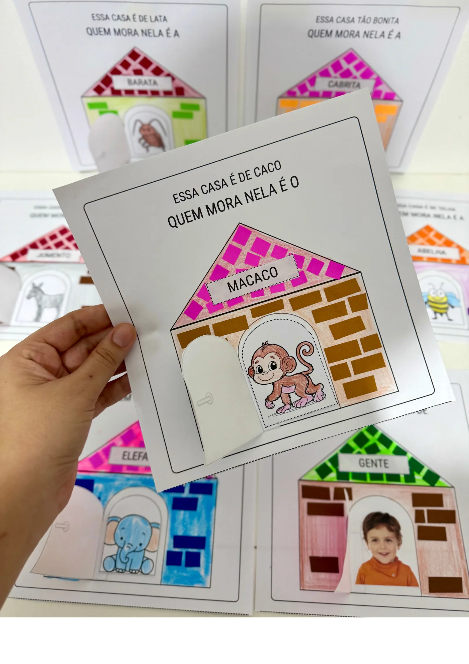 A Casa e o Seu Dono – Sequência Didática e Atividade Educação Infantil — amostra 6: “A Casa e o Seu Dono”, de Elias José ,…