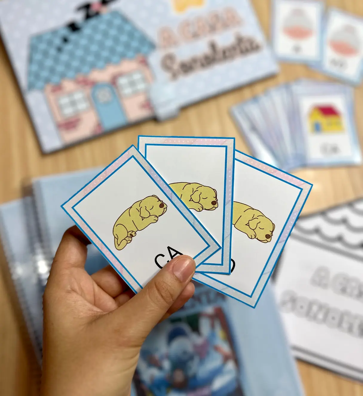 A Casa Sonolenta: Kit de Sequência Didática para Alfabetização — amostra 4: Para quem este kit é indicado