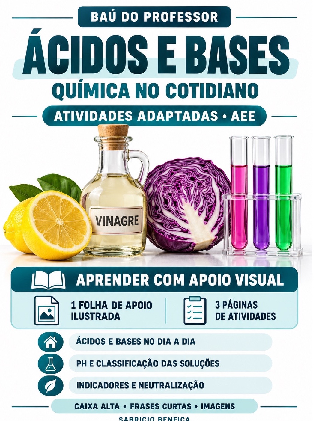 Ácidos e Bases AEE: Atividades Adaptadas de Química em PDF — Ciências para Ensino Médio: Química adaptada para AEE: ácidos,…