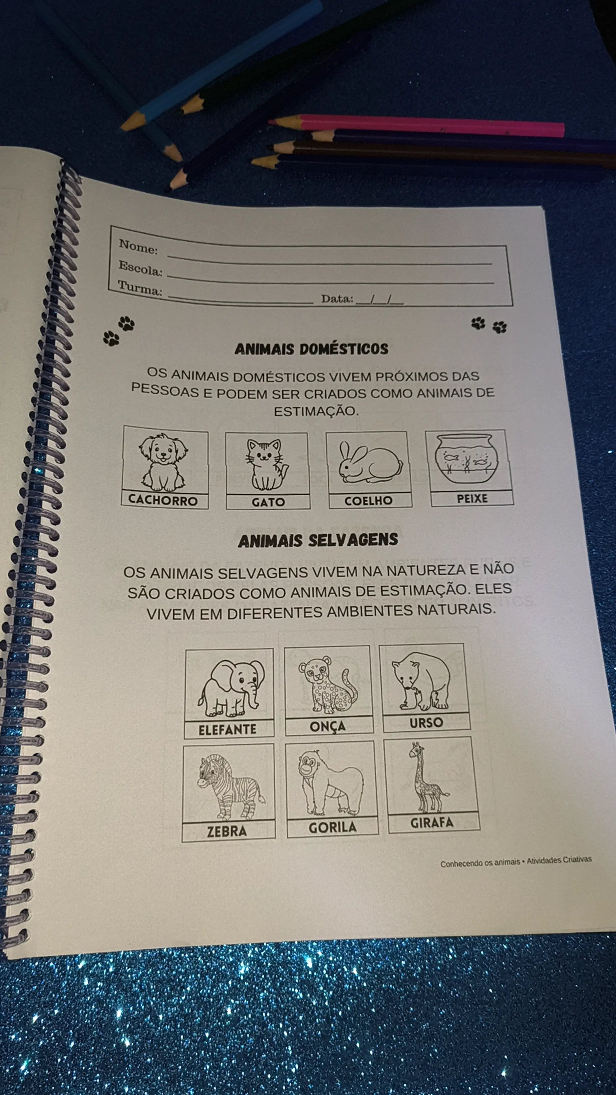 Animais – Educação Infantil para Imprimir | PDF — amostra 3: Atividades educativas sobre animais para trabalhar de forma…