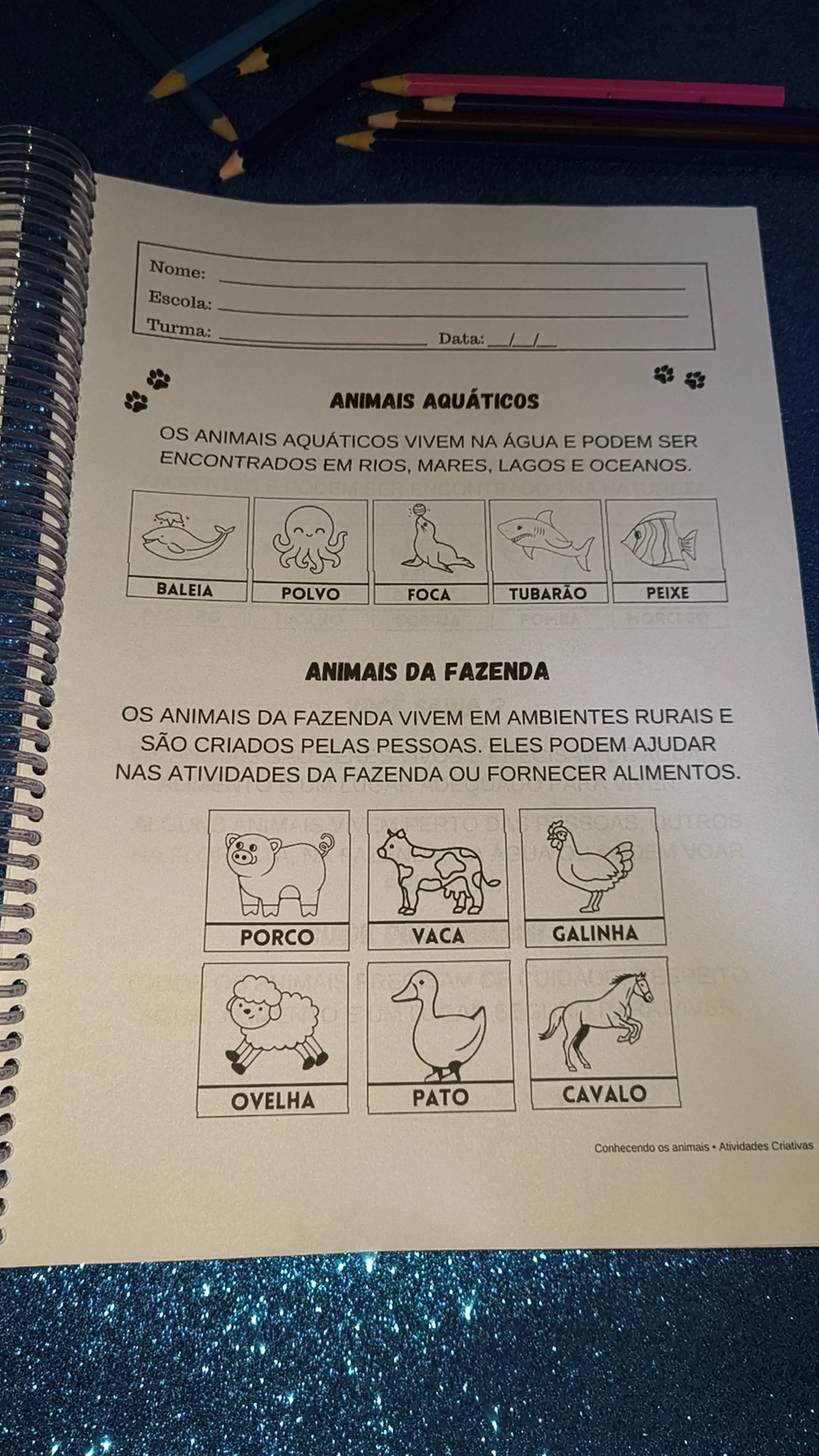 Animais – Educação Infantil para Imprimir | PDF — amostra 4: Atividades educativas sobre animais para trabalhar de forma…