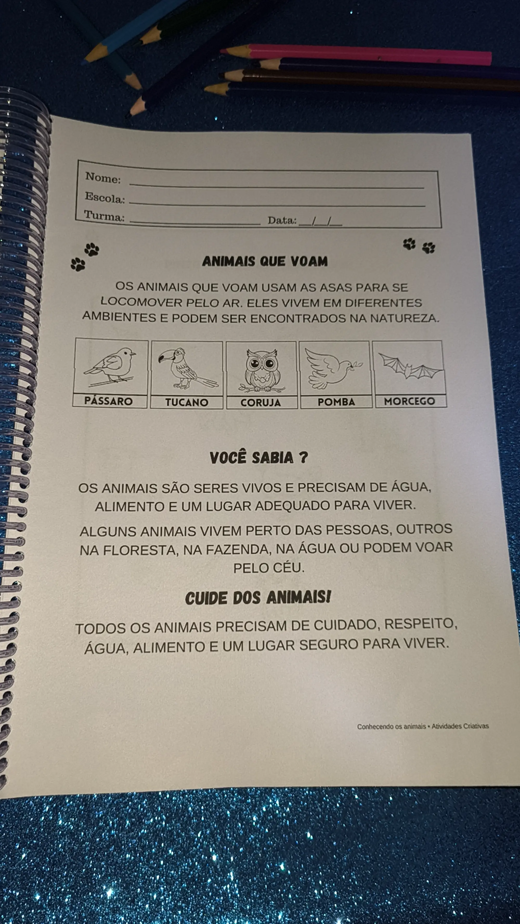 Animais – Educação Infantil para Imprimir | PDF — amostra 5: Atividades educativas sobre animais para trabalhar de forma…