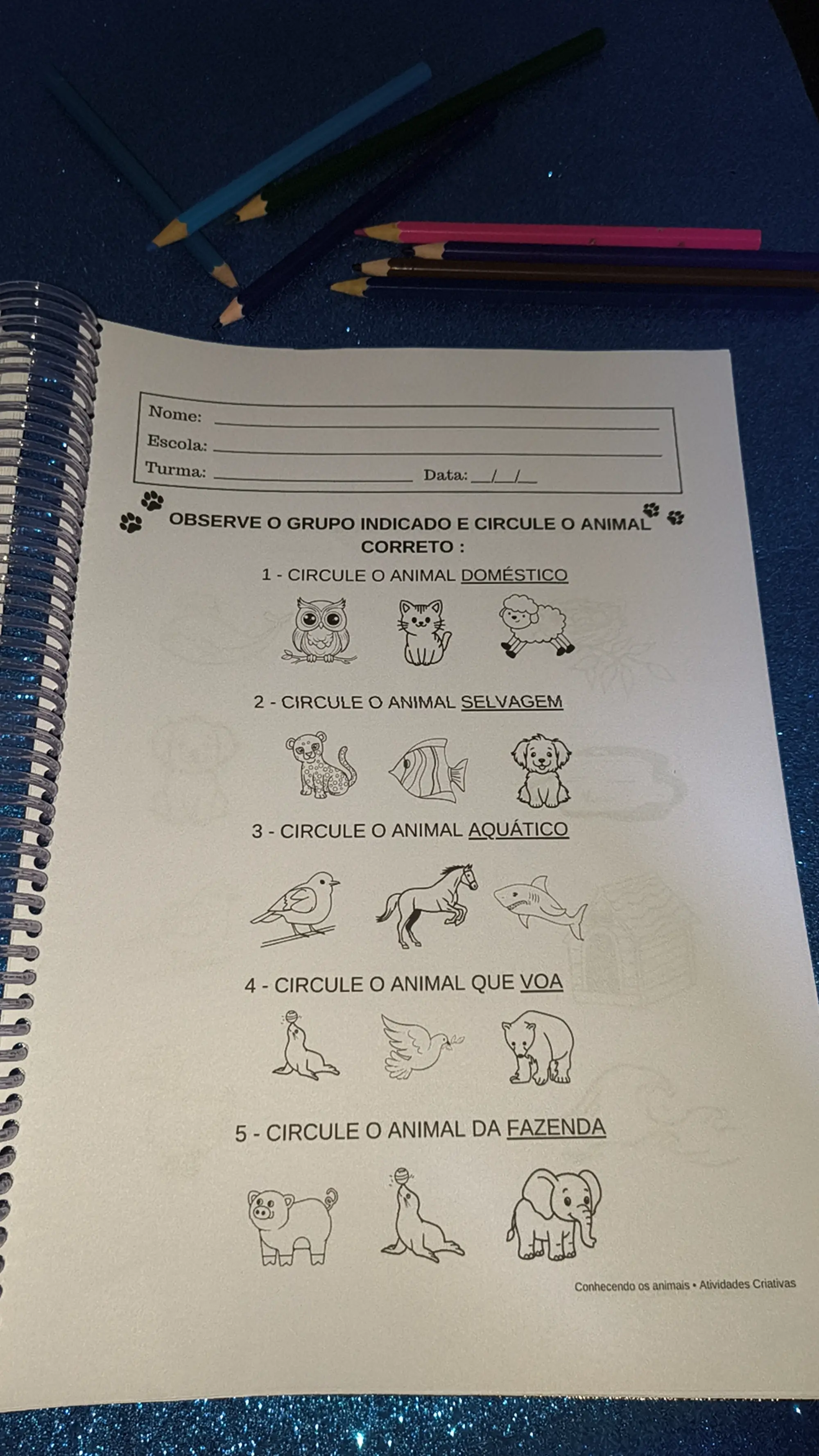Animais – Educação Infantil para Imprimir | PDF — amostra 6: Atividades educativas sobre animais para trabalhar de forma…