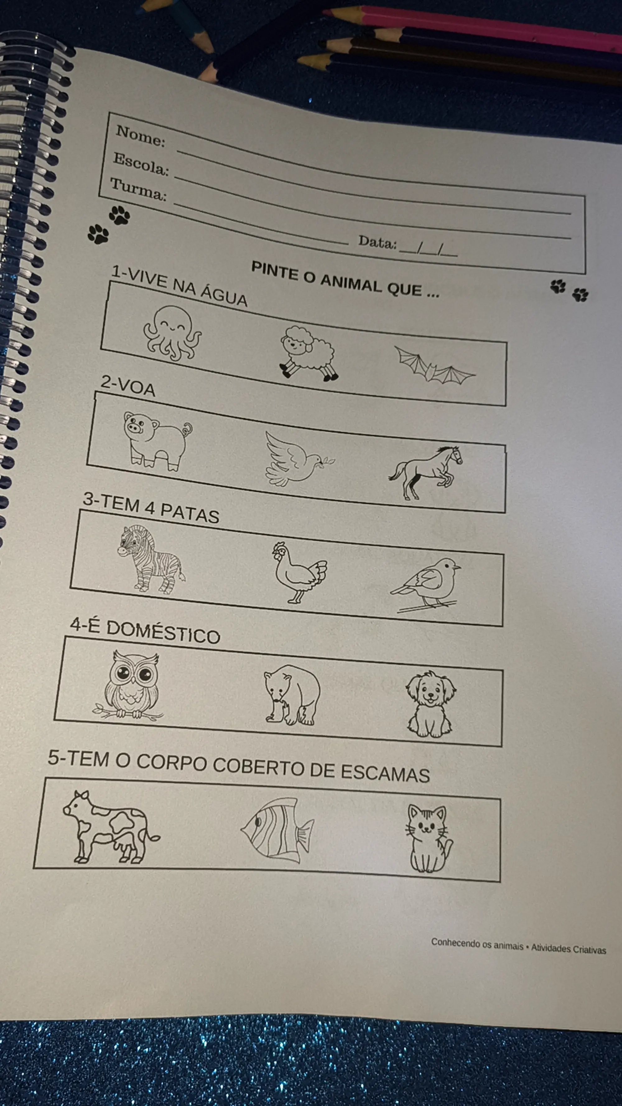 Animais – Educação Infantil para Imprimir | PDF — amostra 7: Atividades educativas sobre animais para trabalhar de forma…