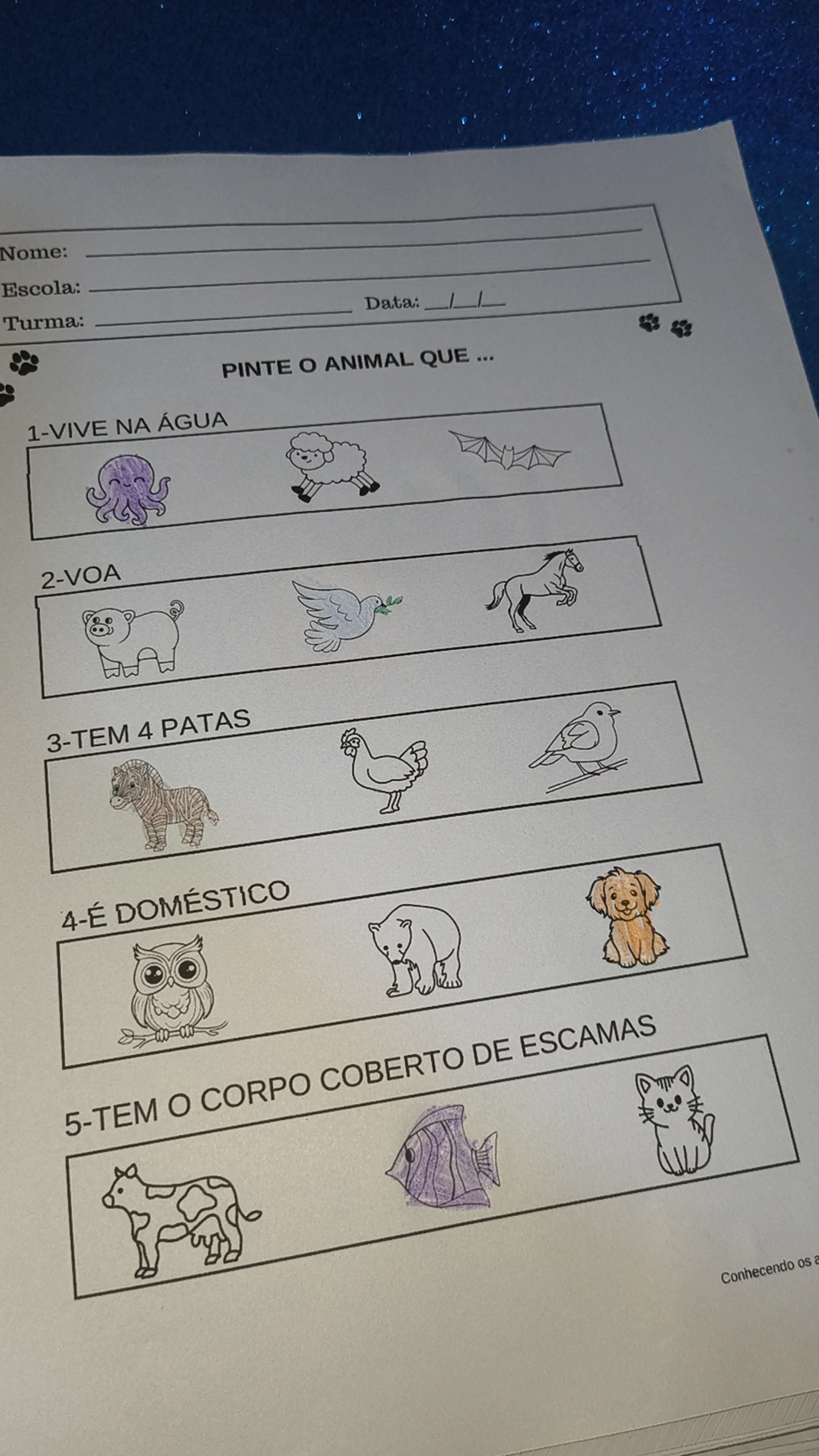 Animais – Educação Infantil para Imprimir | PDF — Português para Educação Infantil: Atividades educativas sobre animais…
