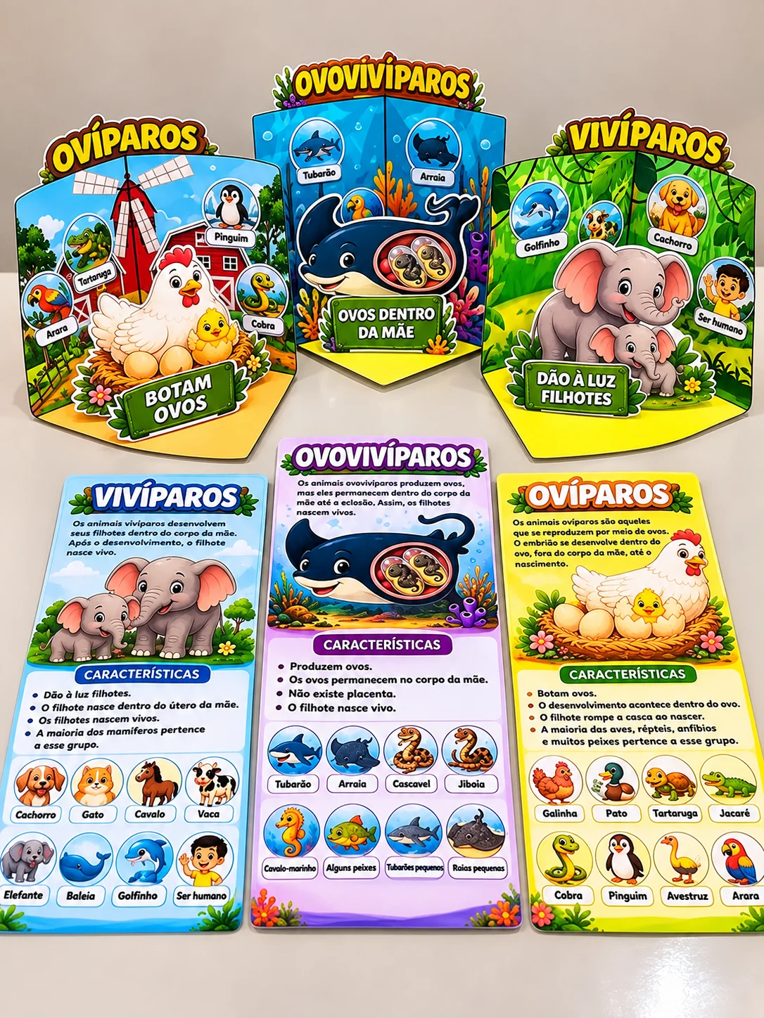 Animais: Ovíparos, Vivíparos e Ovovivíparos — capa do material