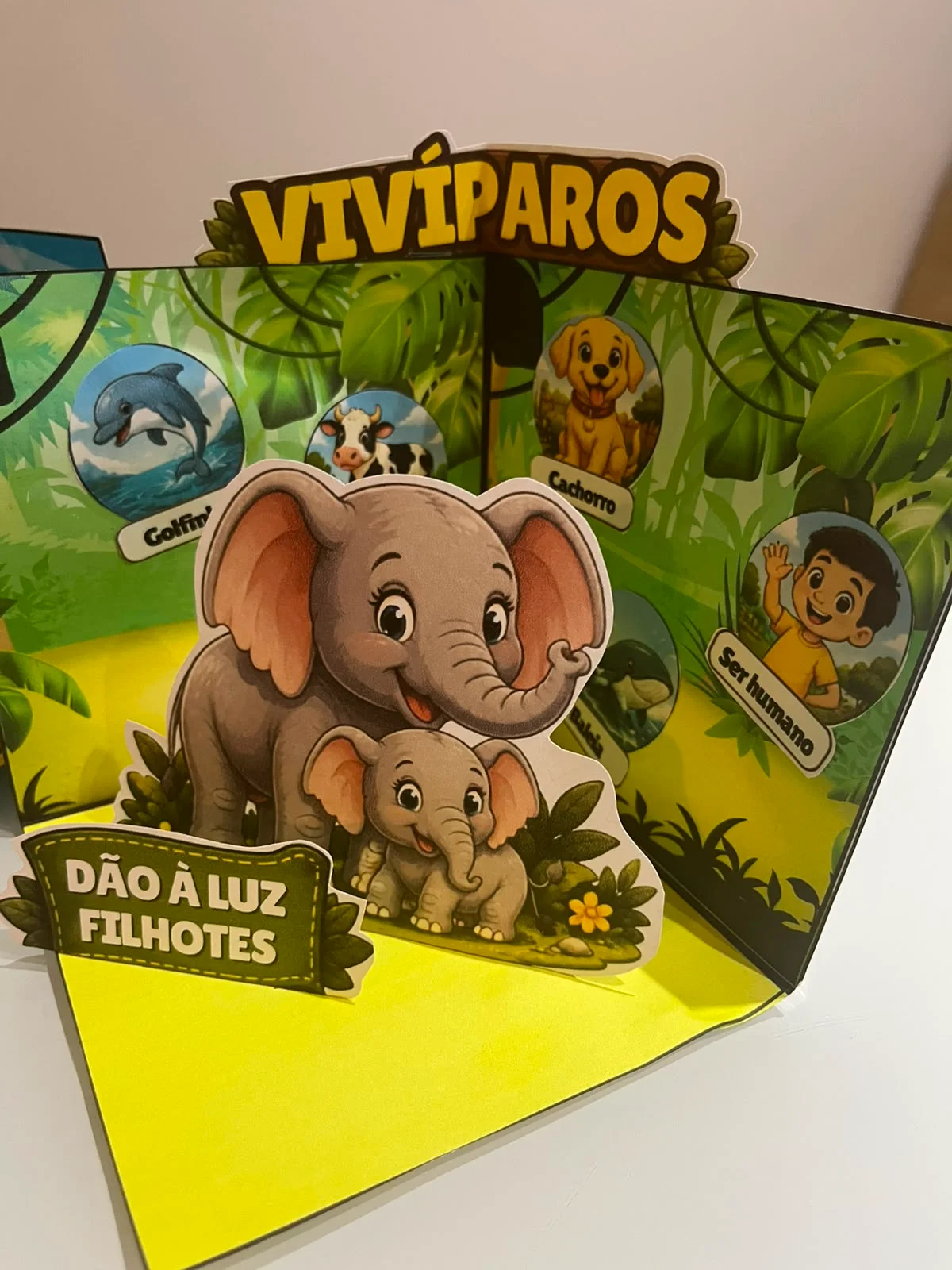 Animais: Vivíparos, Ovíparos e Ovovivíparos — amostra 1: Material de Ciências para aprender a classificar animais em…