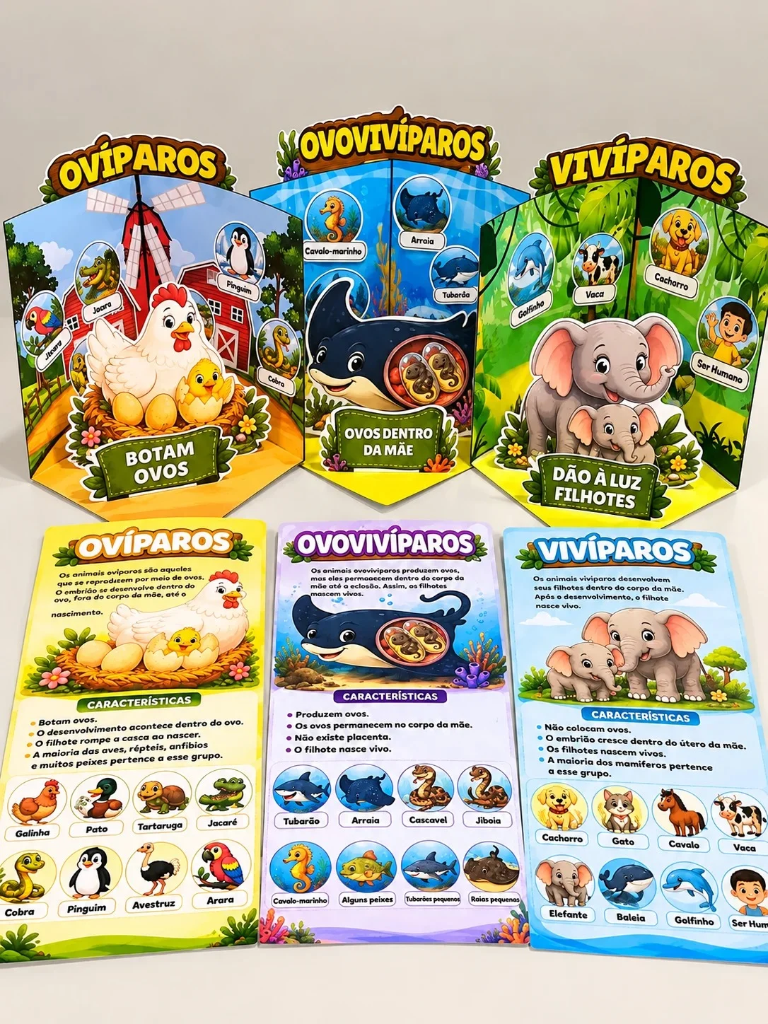 Animais: Vivíparos, Ovíparos e Ovovivíparos — Ciências para 3º ano: Material de Ciências para aprender a classificar…