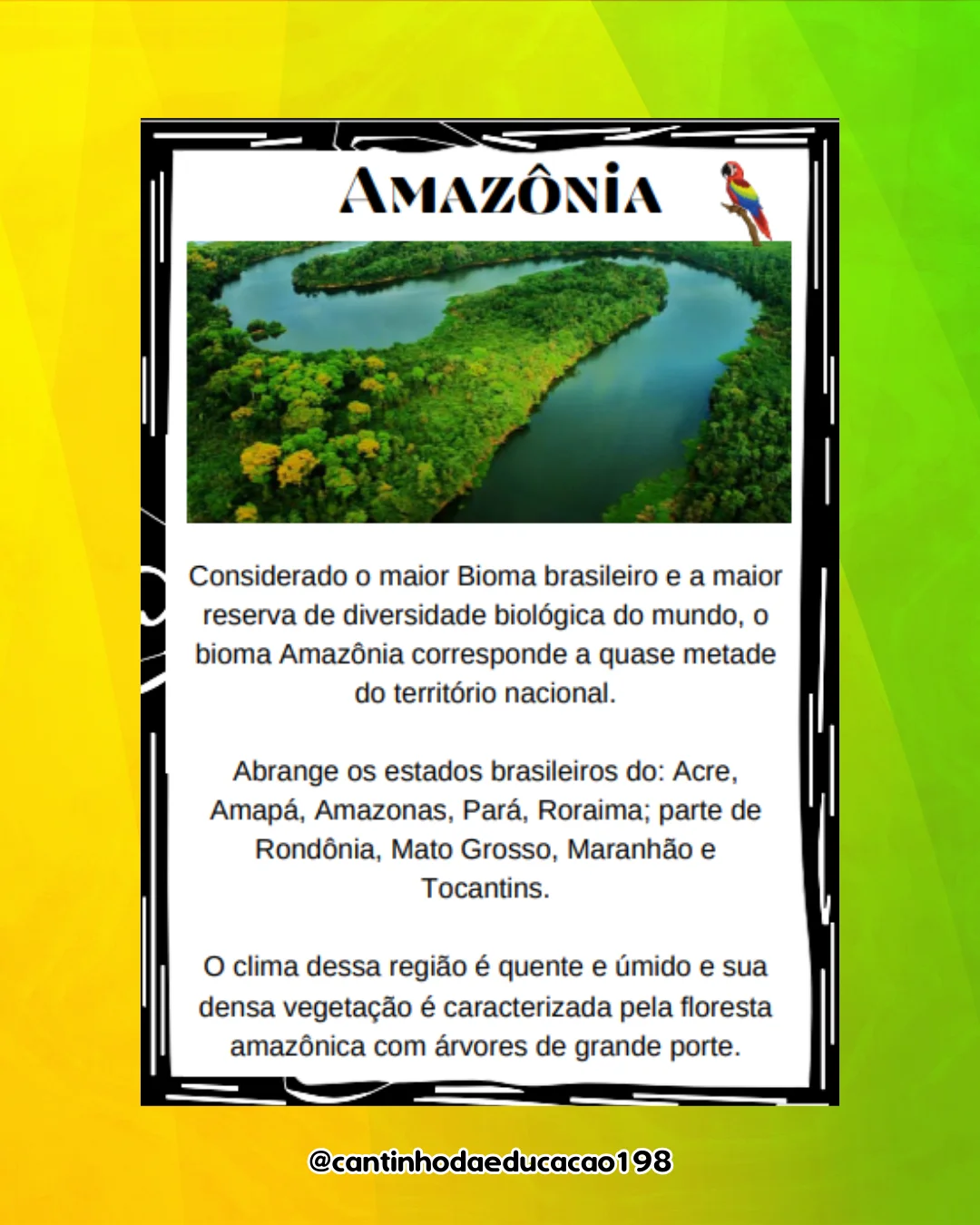 Apostila – biomas brasileiros – PDF para Imprimir — amostra 3: Um material completo para conhecer e explorar os principais…