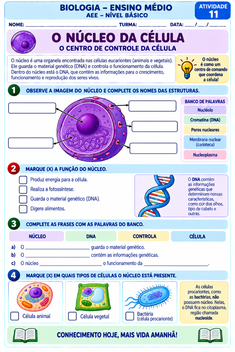 Apostila de Biologia para AEE | 20 Atividades Adaptadas — Atividades para Ensino Médio: Apostila de Biologia para Ensino…