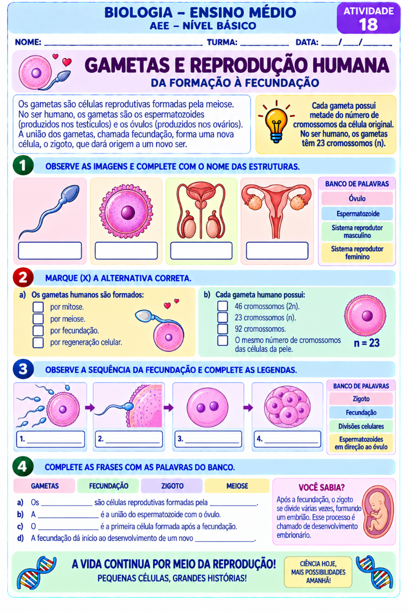 Apostila de Biologia para AEE | 20 Atividades Adaptadas — amostra 5: Apostila de Biologia para Ensino Médio – AEE, com 20…