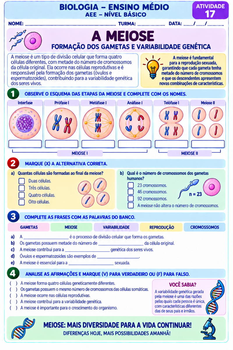 Apostila de Biologia para AEE | 20 Atividades Adaptadas — amostra 7: Apostila de Biologia para Ensino Médio – AEE, com 20…