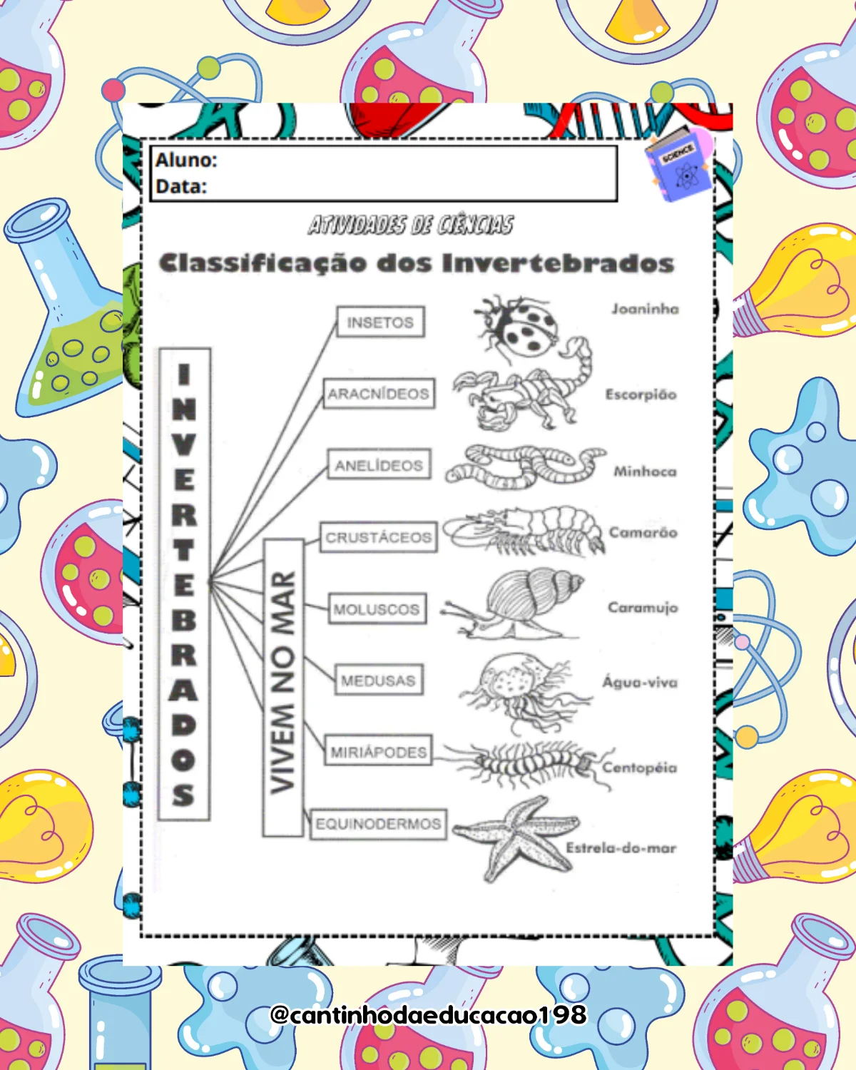 Apostila de ciências – 3º e 4º ano – PDF para Imprimir — amostra 3: Um material completo para tornar o ensino de Ciências…