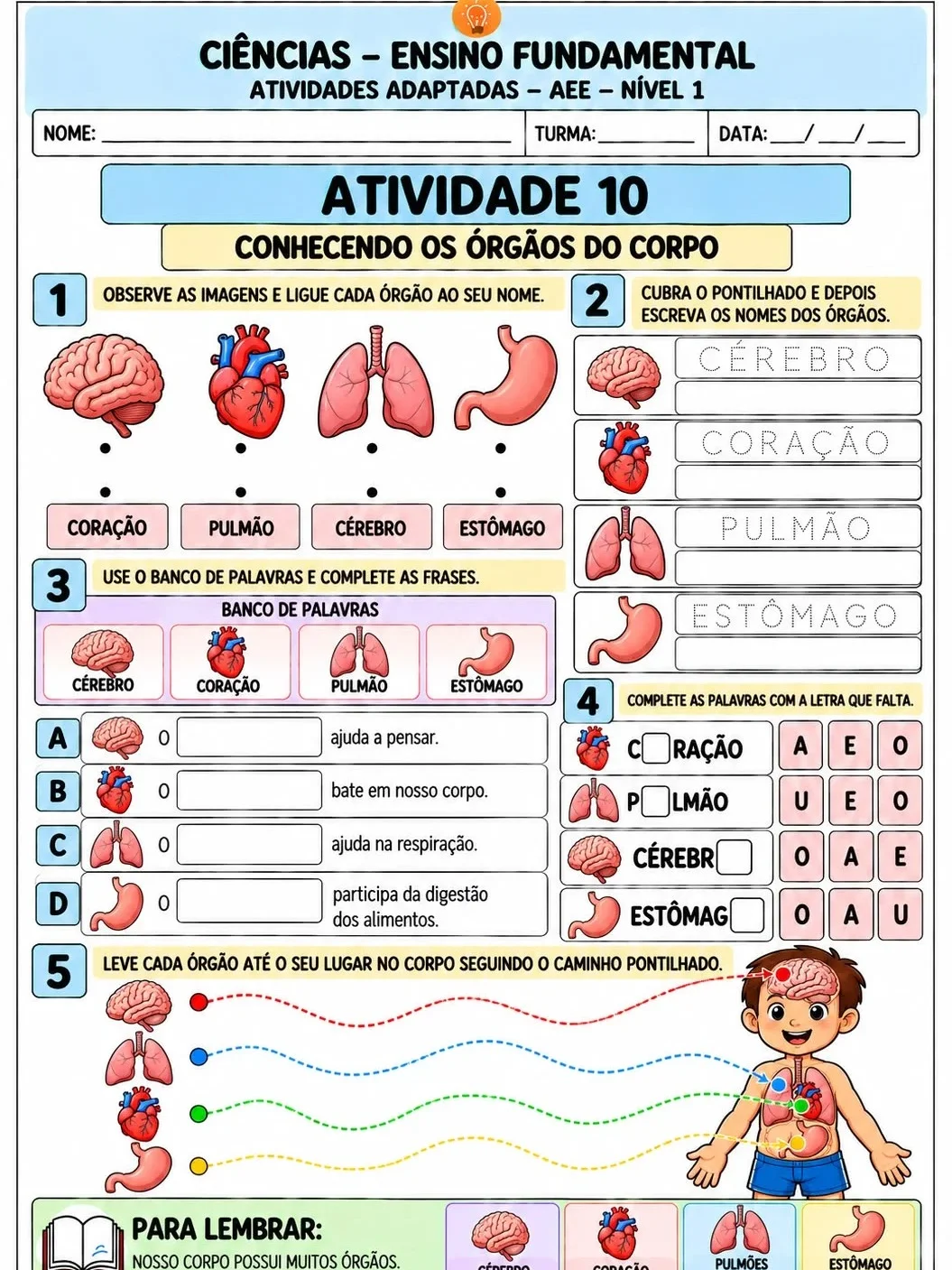 Apostila de Ciências Adaptadas – AEE Nível 1 | 10 Atividades — amostra 2: Apostila de Ciências adaptada para AEE – Nível 1,…