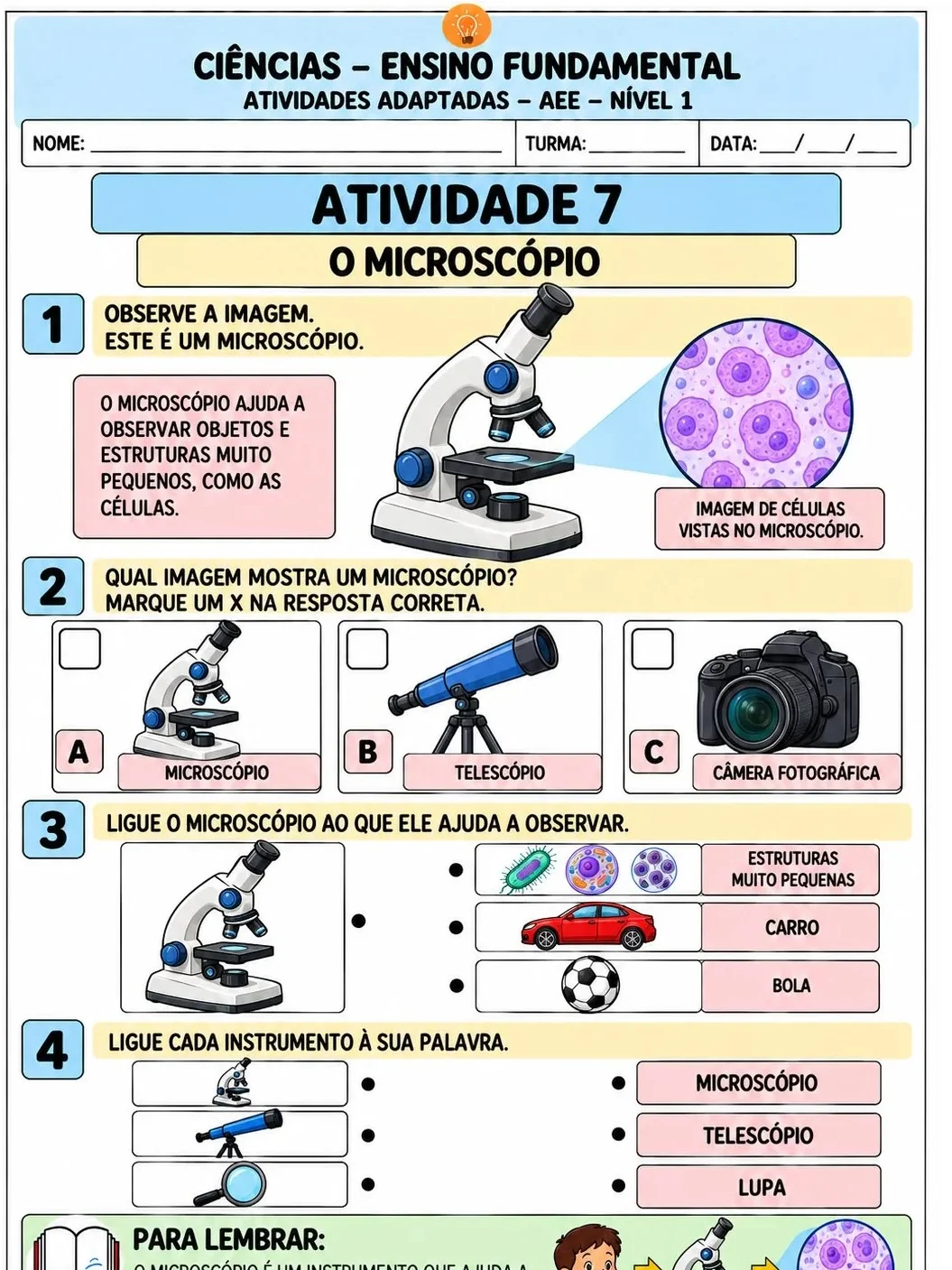 Apostila de Ciências Adaptadas – AEE Nível 1 | 10 Atividades — amostra 3: Apostila de Ciências adaptada para AEE – Nível 1,…