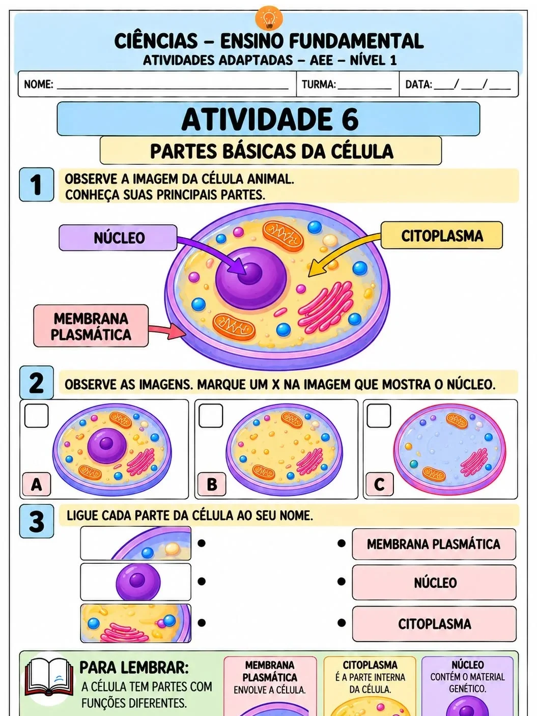 Apostila de Ciências Adaptadas – AEE Nível 1 | 10 Atividades — amostra 4: Apostila de Ciências adaptada para AEE – Nível 1,…