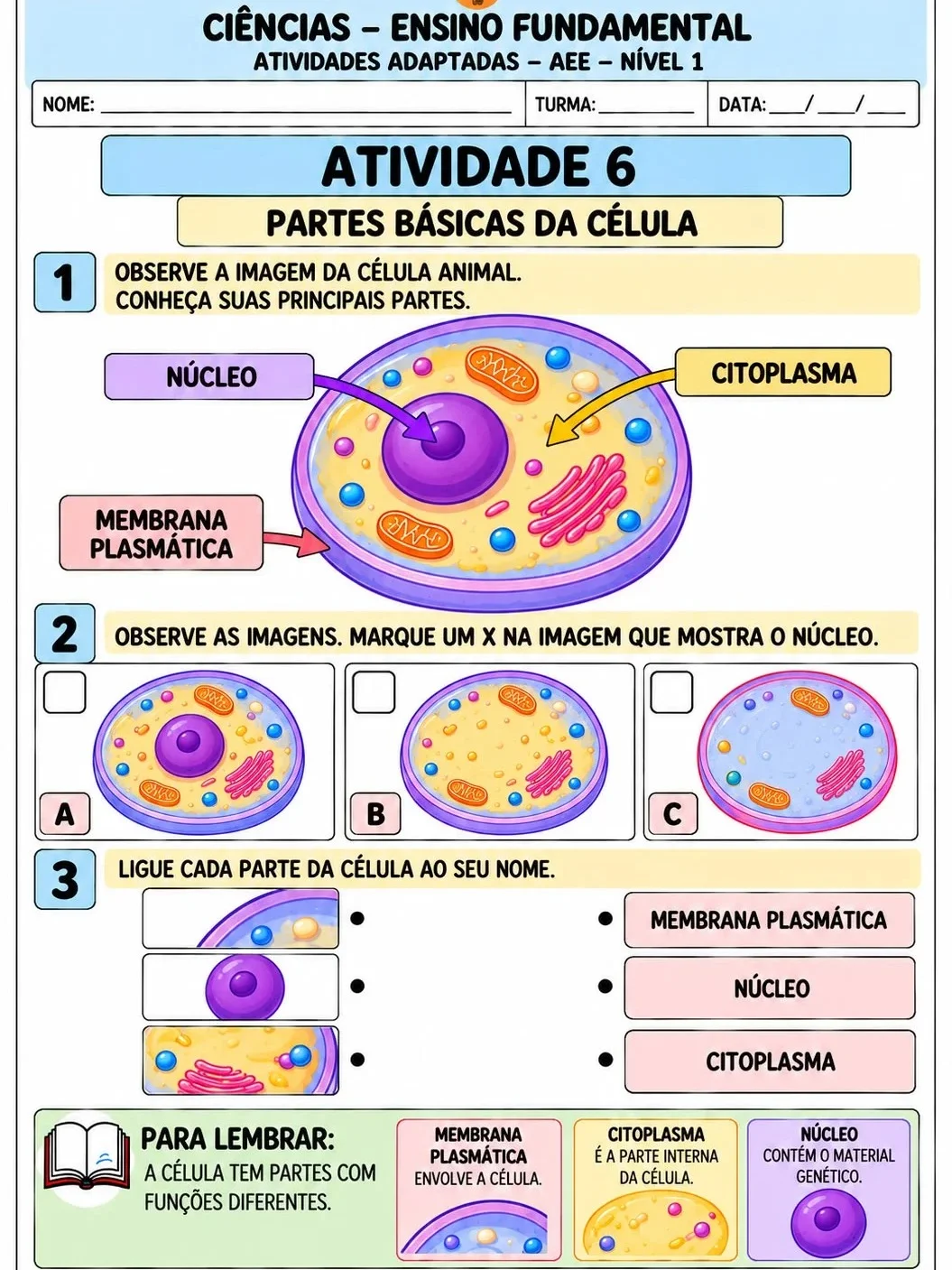 Apostila de Ciências Adaptadas – AEE Nível 1 | 10 Atividades — amostra 5: Apostila de Ciências adaptada para AEE – Nível 1,…