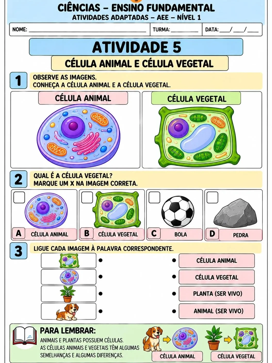 Apostila de Ciências Adaptadas – AEE Nível 1 | 10 Atividades — amostra 6: Apostila de Ciências adaptada para AEE – Nível 1,…