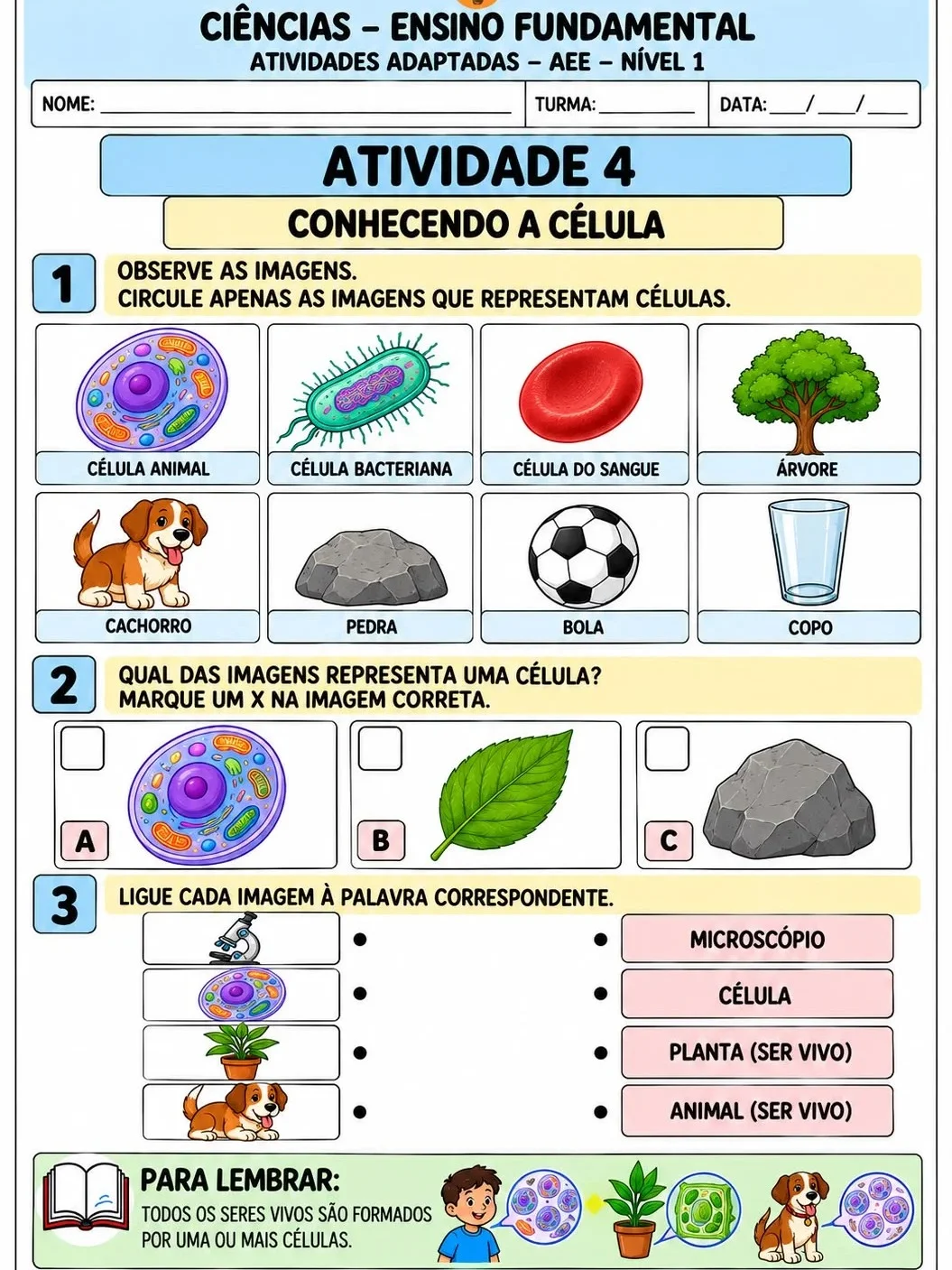 Apostila de Ciências Adaptadas – AEE Nível 1 | 10 Atividades — amostra 7: Apostila de Ciências adaptada para AEE – Nível 1,…