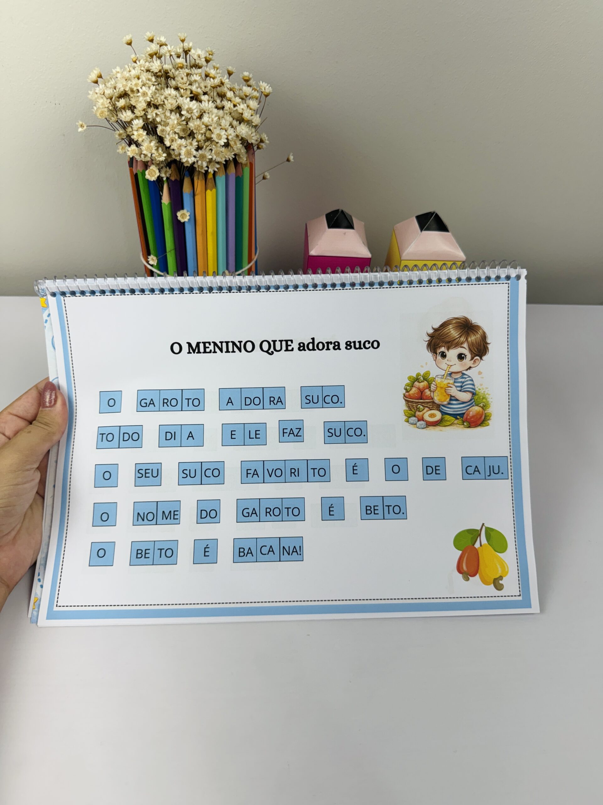 Apostila de textos para alfabetização – Material Pedagógico — amostra 1: O que vem no material