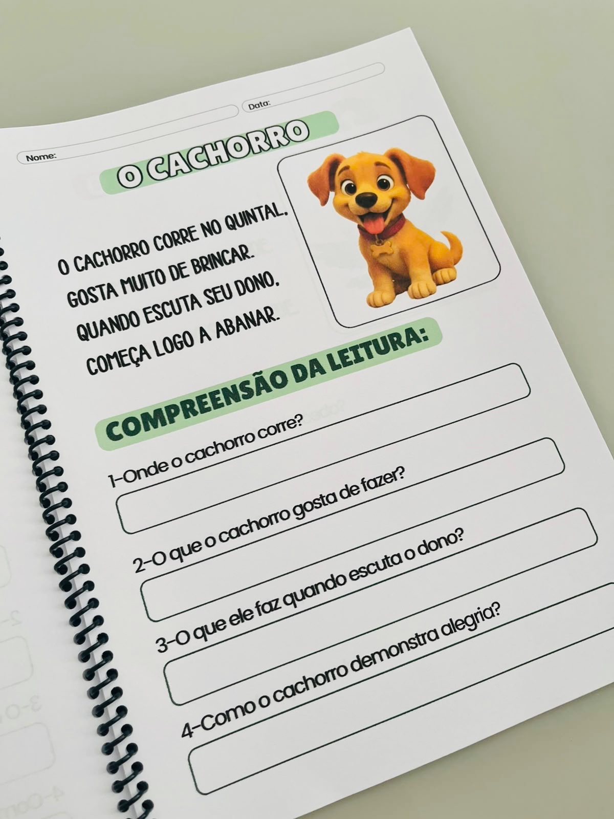 Apostila Lendo com os Animais – Leitura e Interpretação Alfabetização — amostra 2: Apostila pedagógica com pequenos textos…