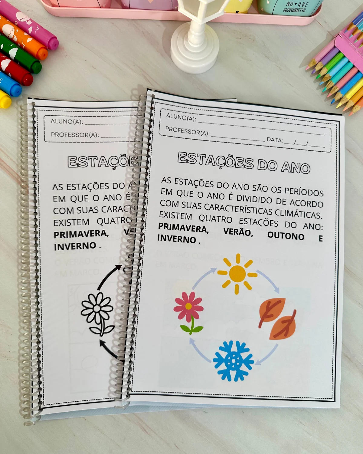 Apostilas de atividades para trabalhar o tema “Estações do Ano” — amostra 1: Um material lúdico e educativo para tornar o…