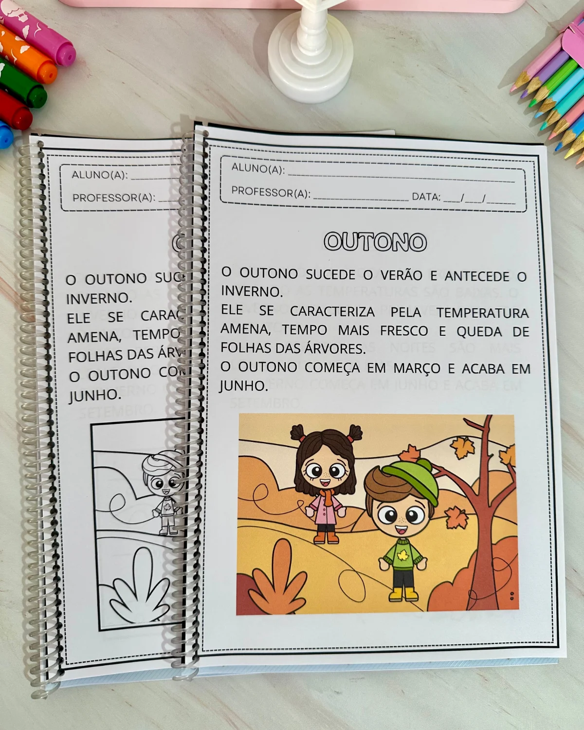 Apostilas de atividades para trabalhar o tema “Estações do Ano” — amostra 2: Um material lúdico e educativo para tornar o…