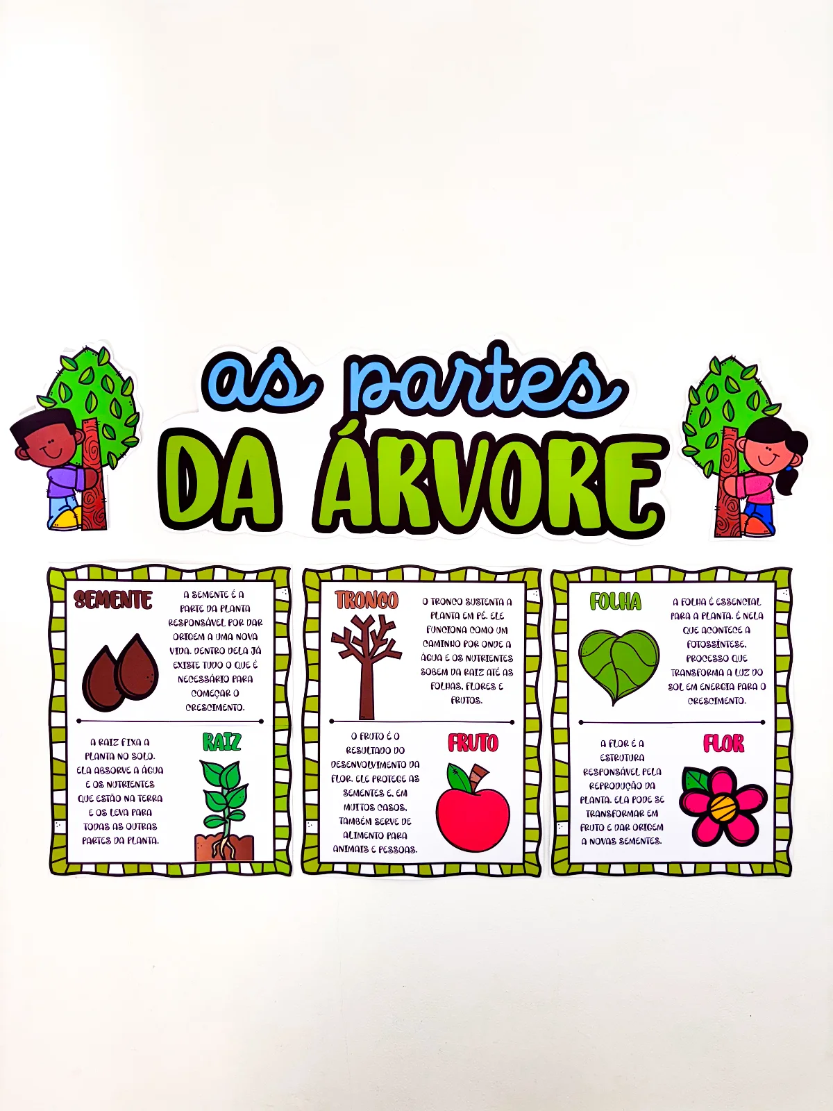 As partes da Árvore – Material Pedagógico — amostra 1: Apresente as partes da árvore de forma clara e atrativa com um…