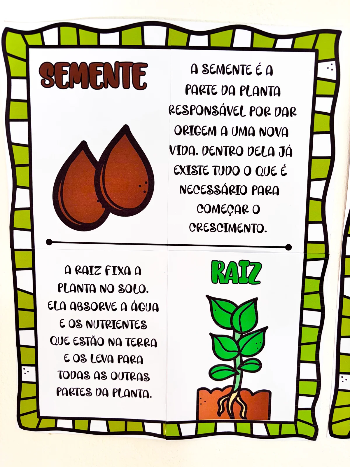 As partes da Árvore – Material Pedagógico — amostra 3: Apresente as partes da árvore de forma clara e atrativa com um…