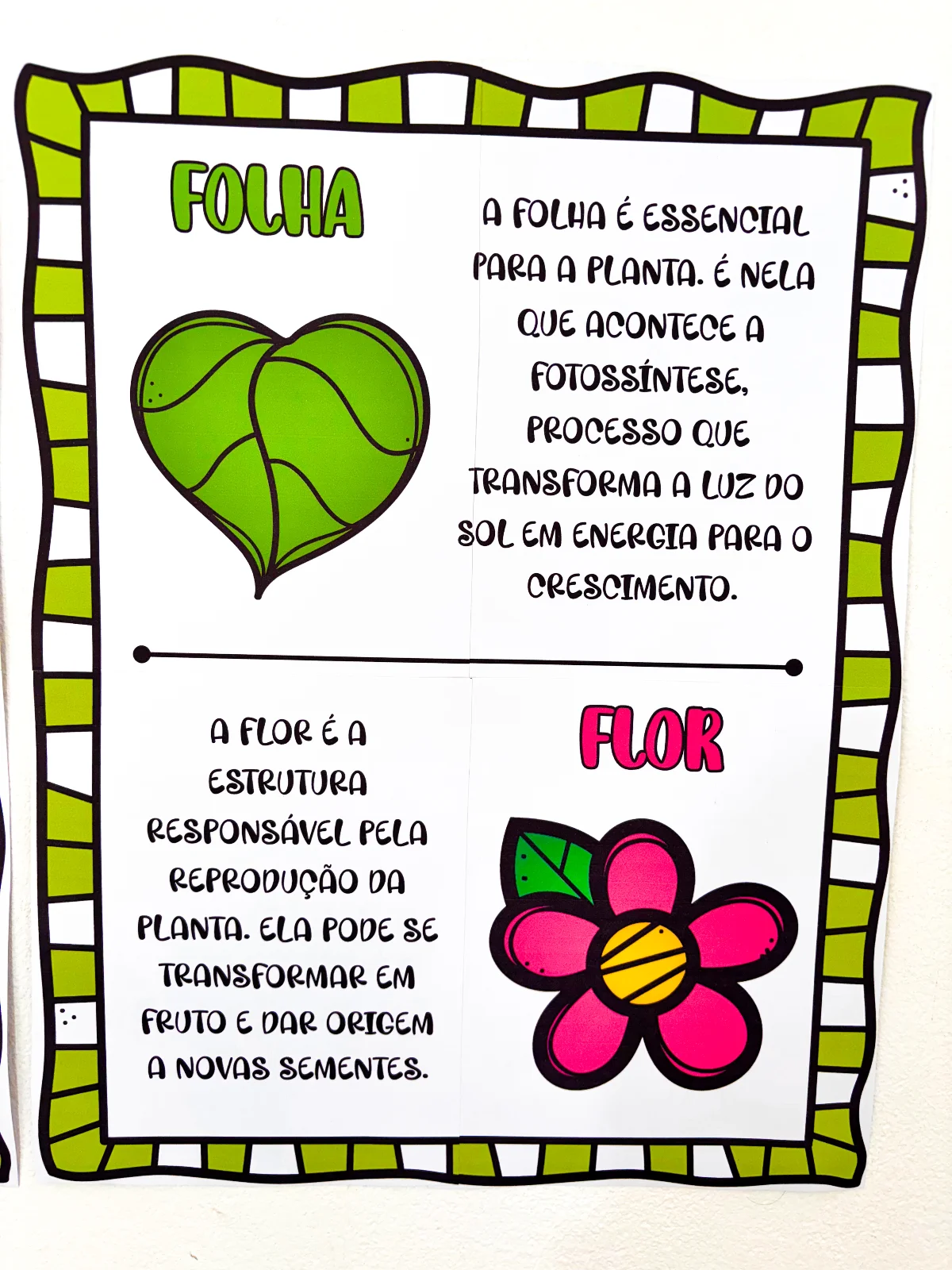 As partes da Árvore – Material Pedagógico — amostra 4: Apresente as partes da árvore de forma clara e atrativa com um…
