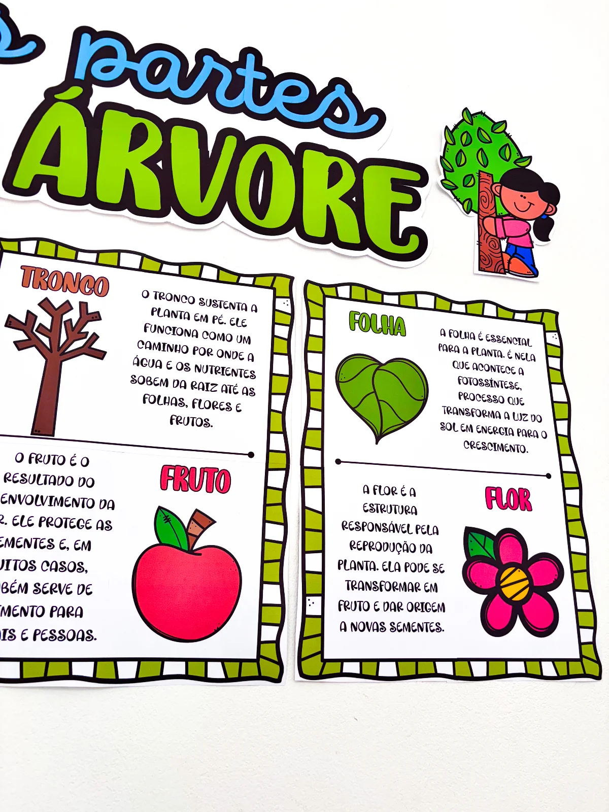 As partes da Árvore – Material Pedagógico — amostra 5: Apresente as partes da árvore de forma clara e atrativa com um…