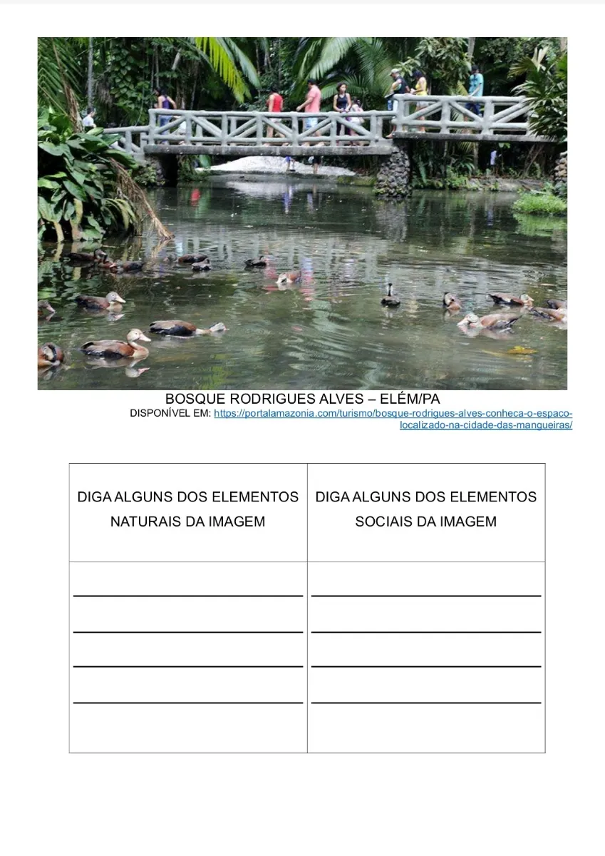 ATIVIDADE ADAPTADA DE GEOGRAFIA: PAISAGEM E ESPAÇO VIVIDO — amostra 4: Atividades adaptadas de Geografia sobre os…