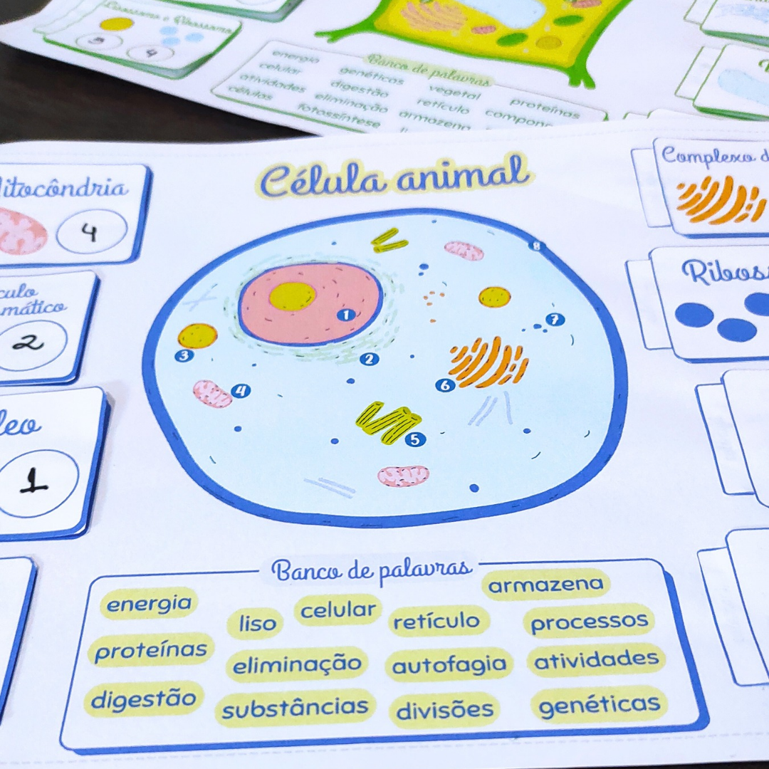 Atividade - Célula Animal e Vegetal – PDF para Imprimir | Anos Finais — amostra 1: O que vem no material