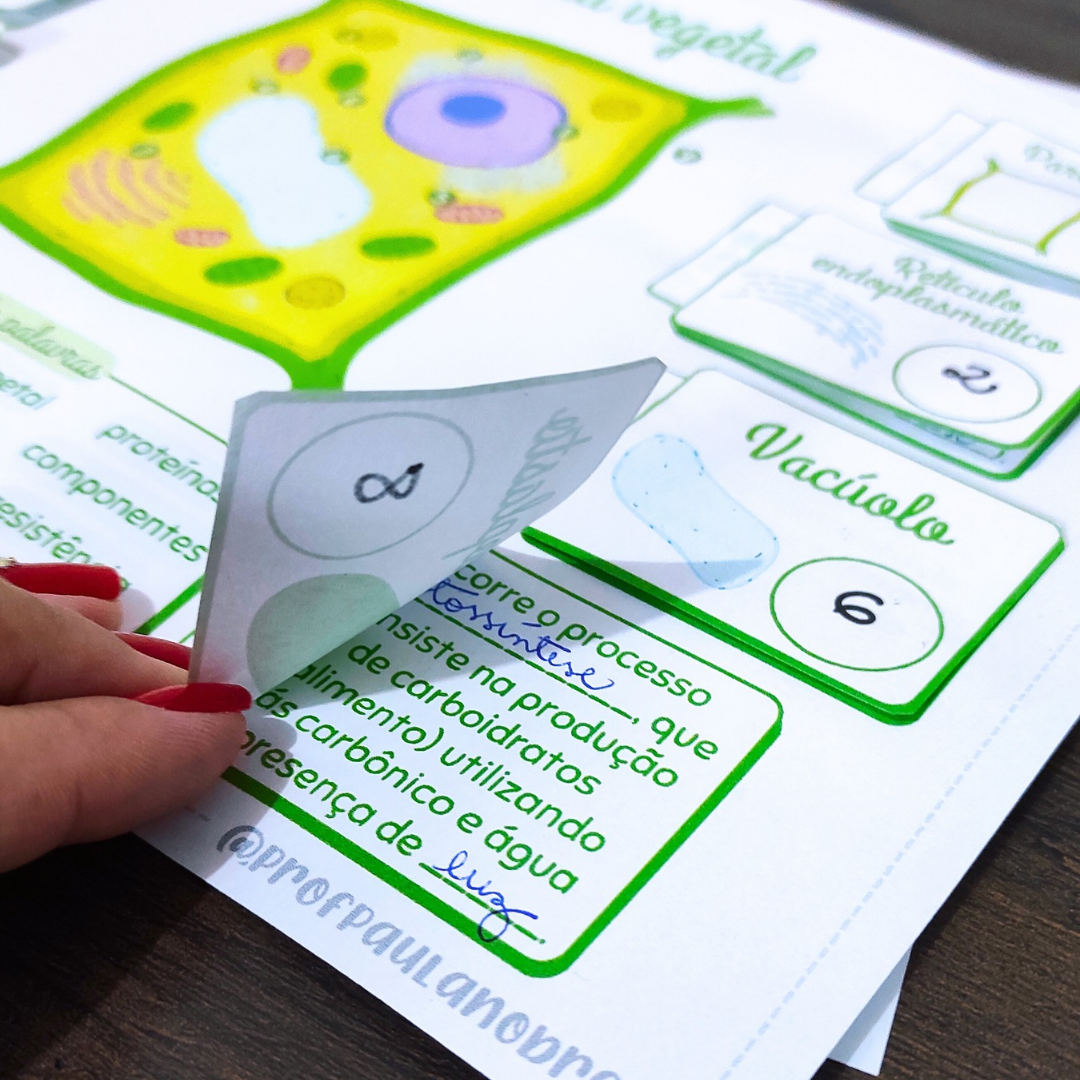 Atividade - Célula Animal e Vegetal – PDF para Imprimir | Anos Finais — amostra 3: Para quem é indicado