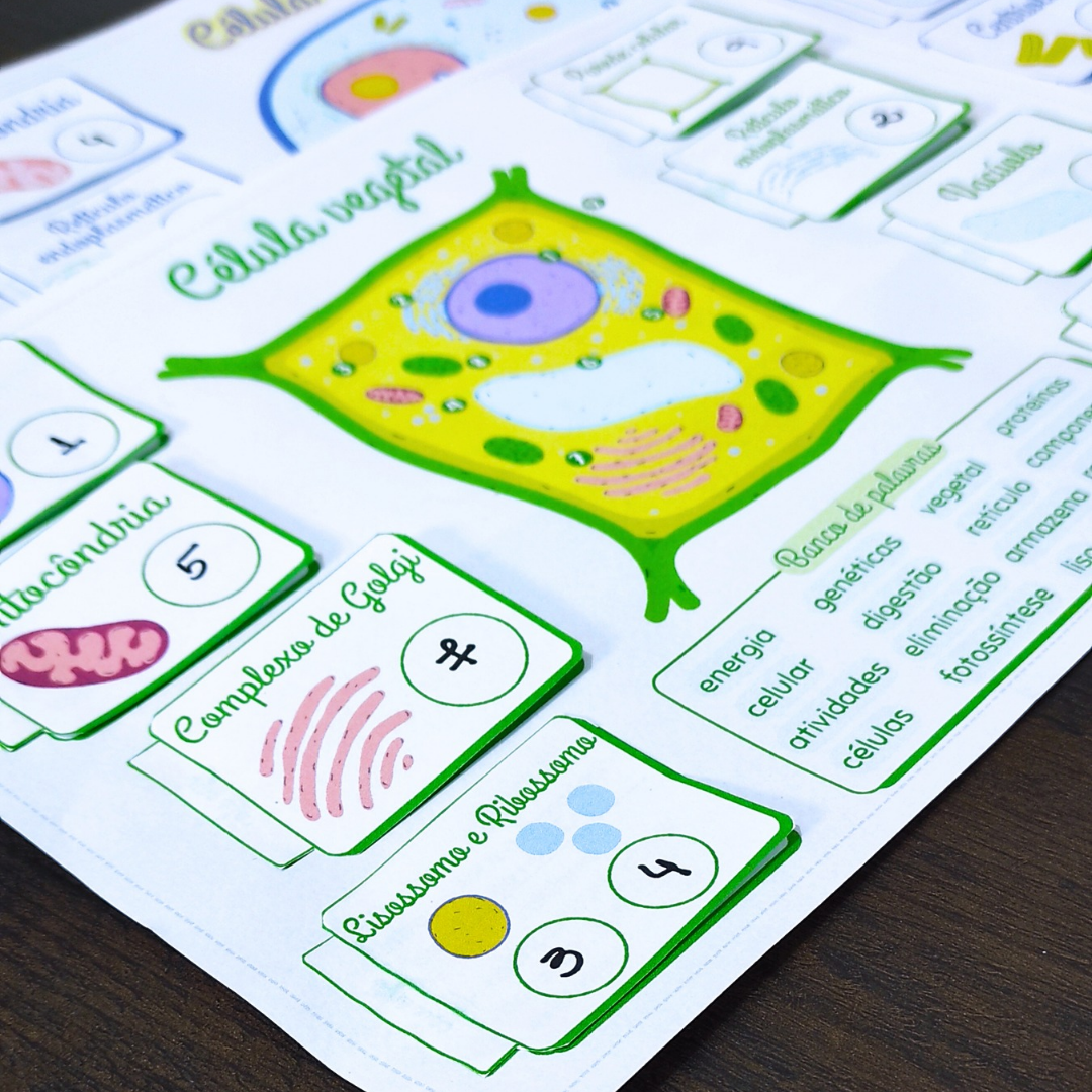 Atividade - Célula Animal e Vegetal – PDF para Imprimir | Anos Finais — amostra 5: Auxilie seus alunos a preencher as…