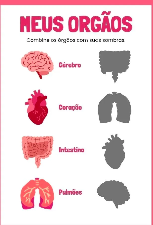 Atividade de alfabetização PLR Fundamental Kit com 1.000 atividades 1º ao 5º ano — amostra 6 do material
