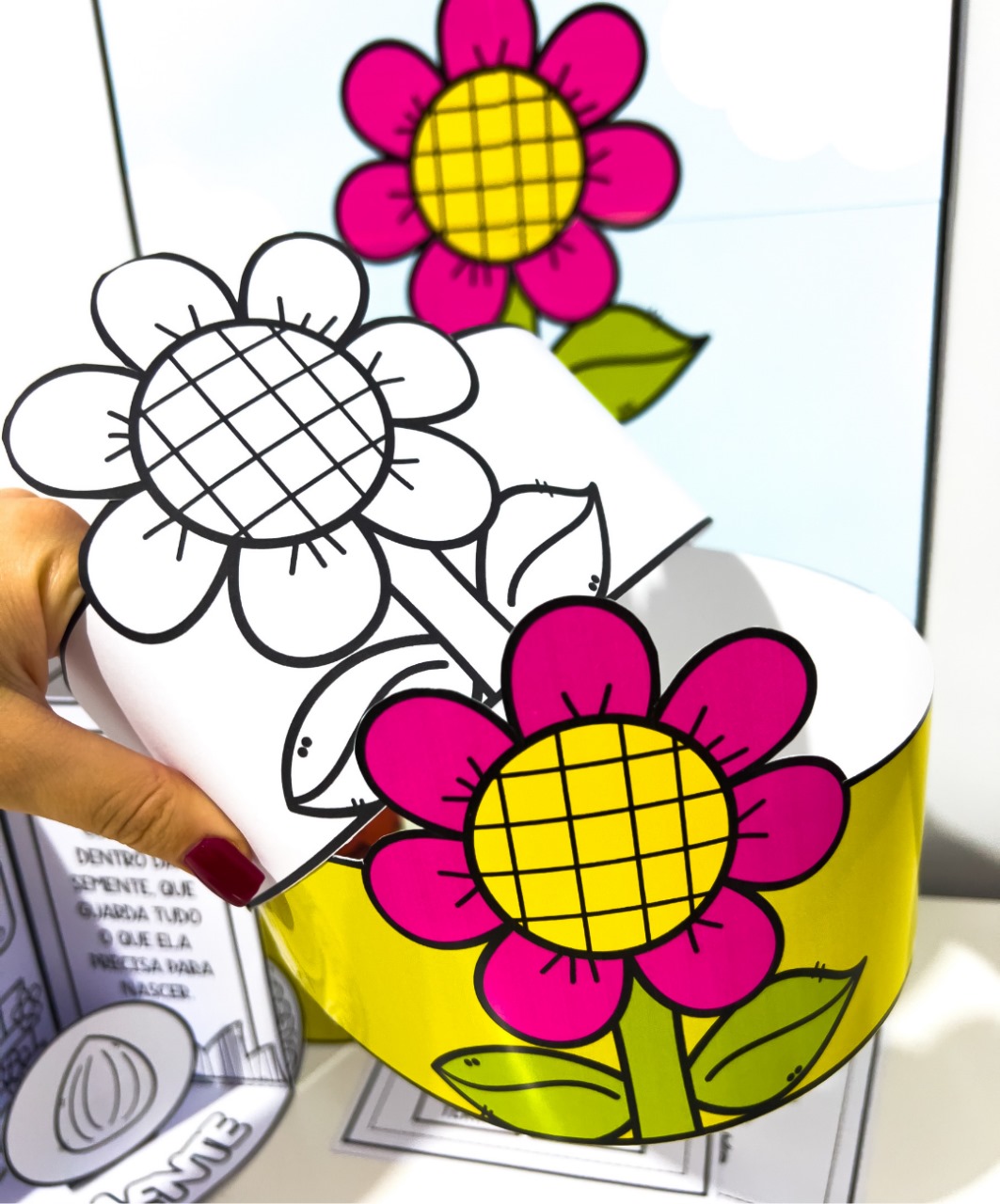 Atividade de ciclo vegetal para imprimir — amostra 2: Como aplicar a atividade em sala