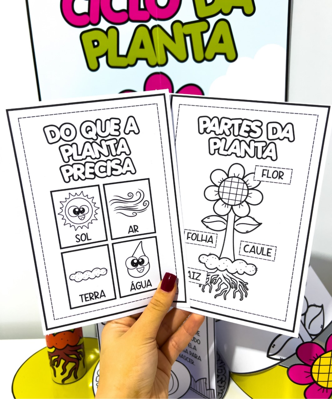 Atividade de ciclo vegetal para imprimir — amostra 4: Para quem é indicado