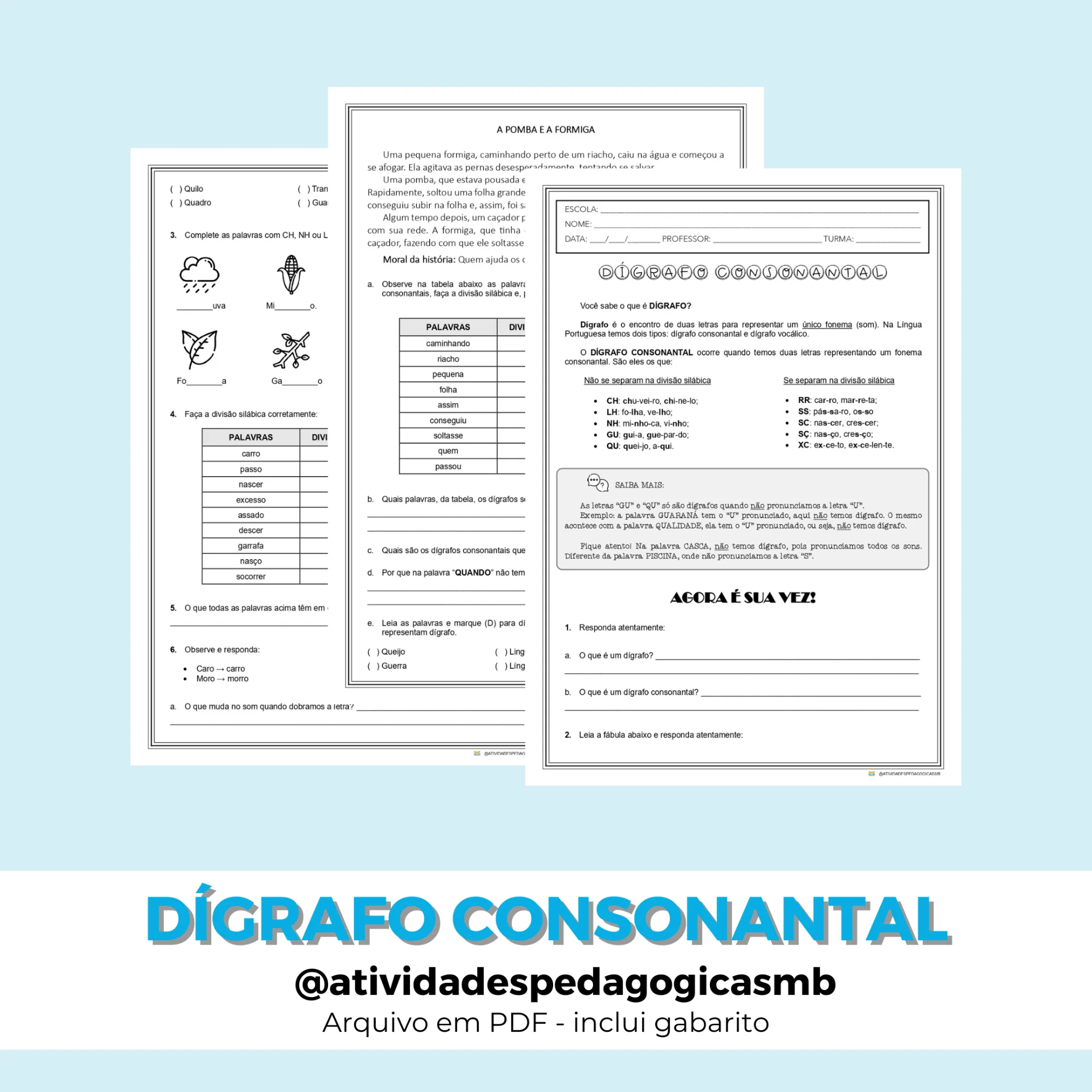 Atividade de Dígrafo Consonantal - FONOLOGIA (PDF) — capa do material