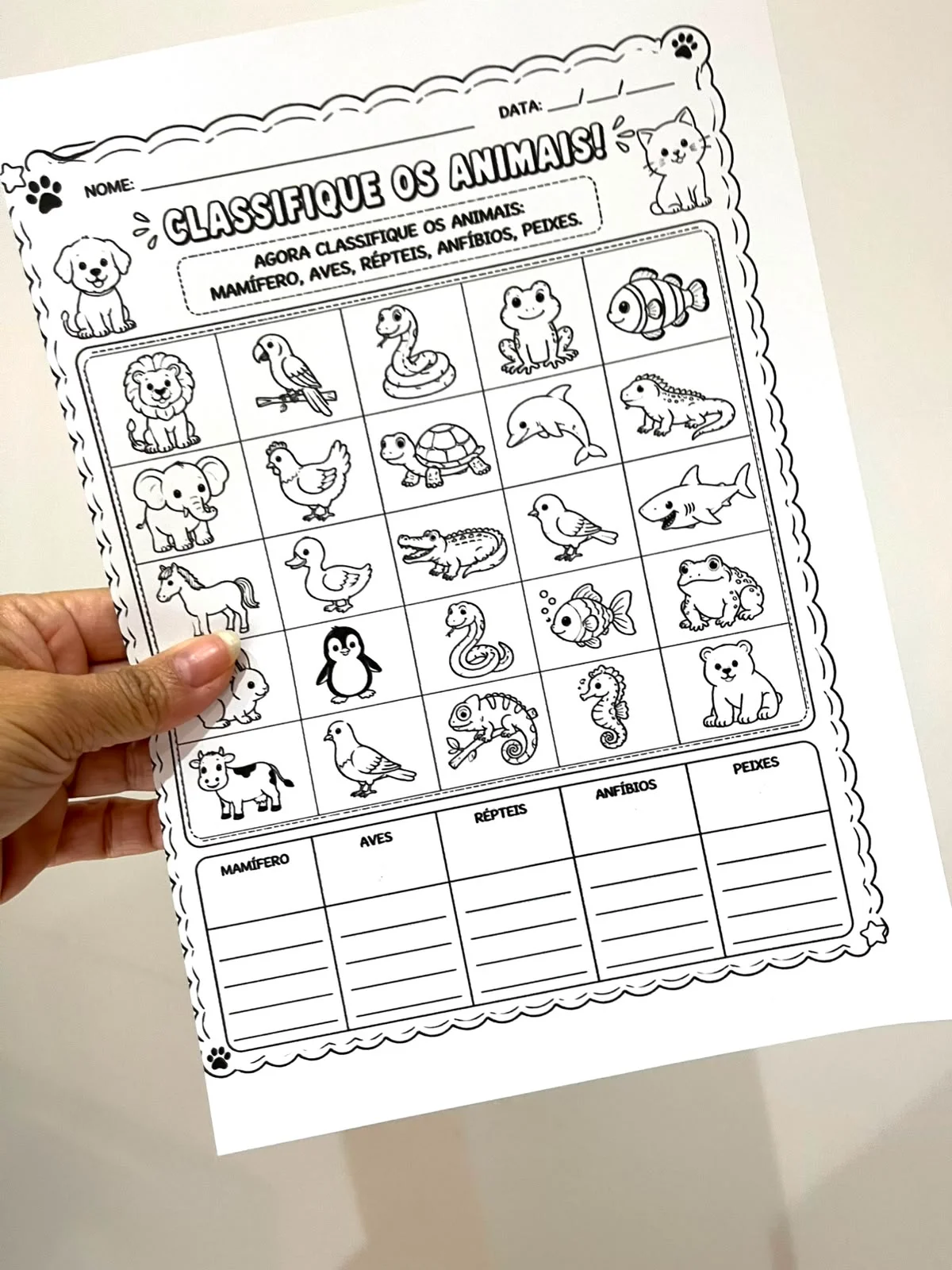 ATIVIDADE LÚDICA CLASSIFICAÇÃO DOS ANIMAIS — amostra 3: Ensine Ciências de forma prática, visual e envolvente com este PACK…