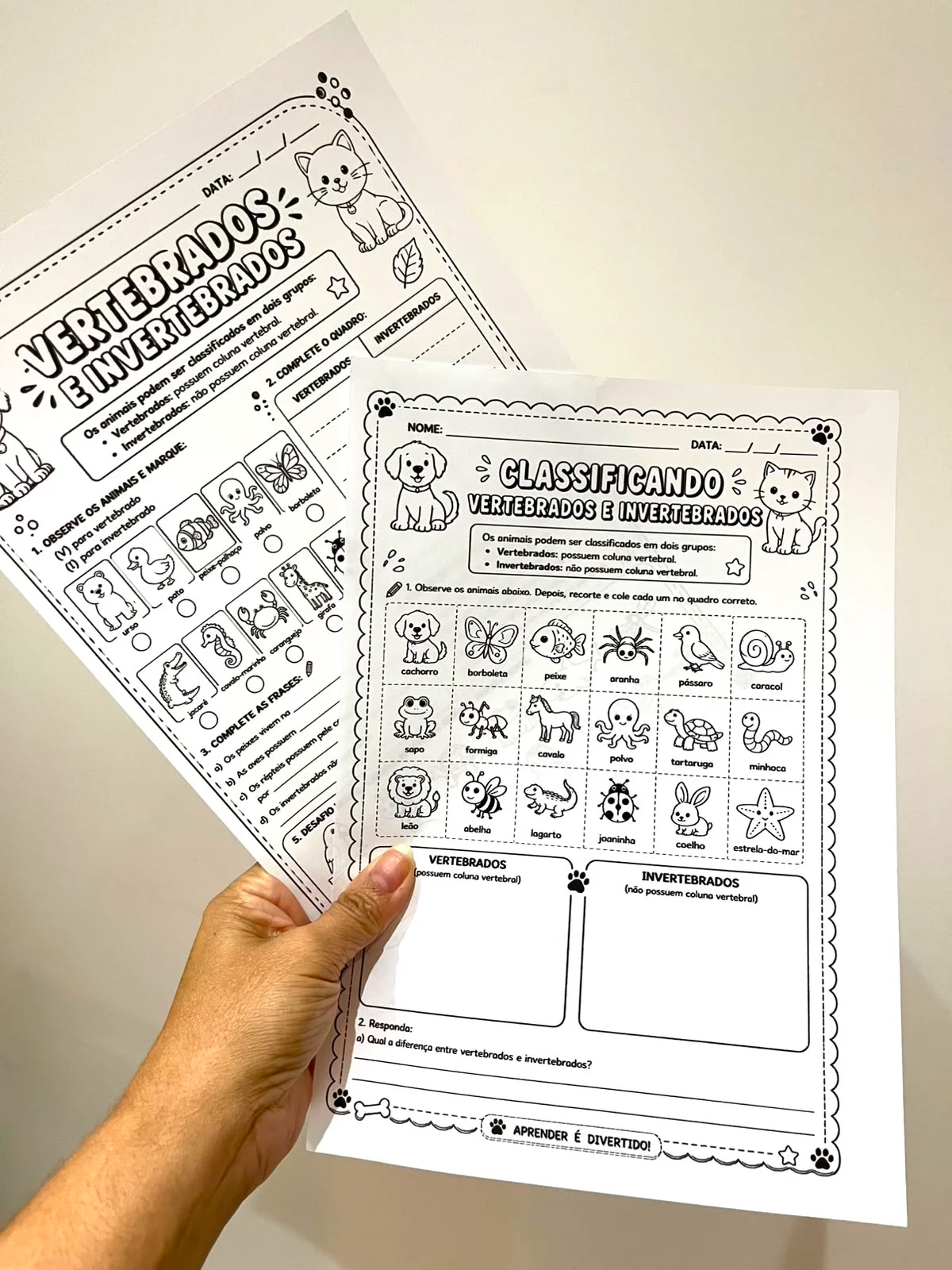 ATIVIDADE LÚDICA CLASSIFICAÇÃO DOS ANIMAIS — amostra 5: Ensine Ciências de forma prática, visual e envolvente com este PACK…