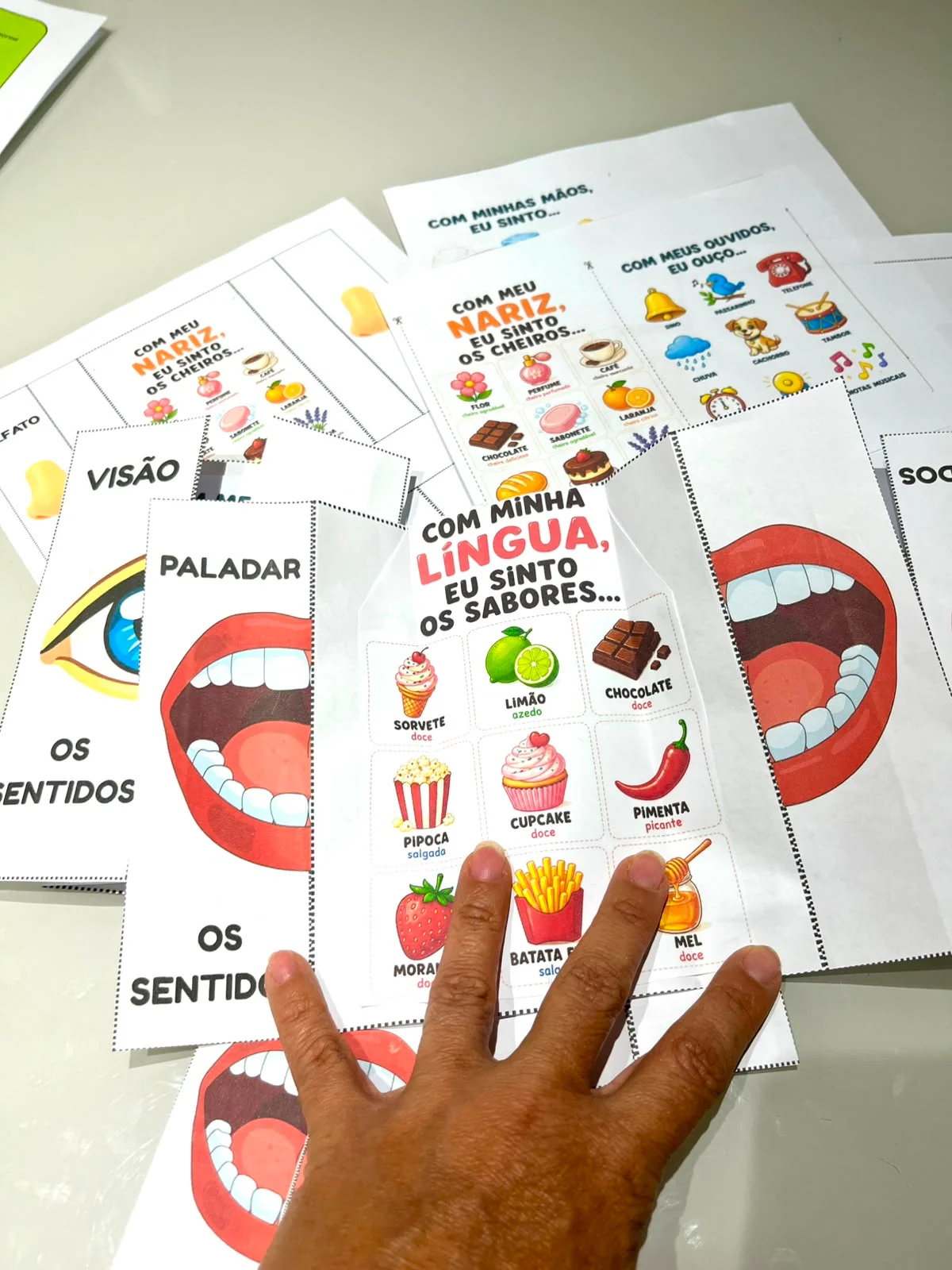Atividade Os Sentidos – Educação Infantil — Ciências para Educação Infantil: Material sobre os cinco sentidos: olfato,…
