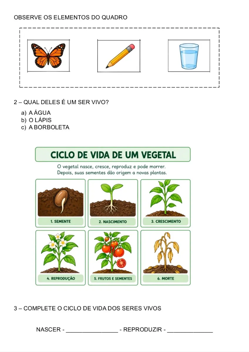 Atividades adaptadas de Ciências para 6° ano e EJA — amostra 2: Um material pronto para imprimir e aplicar, pensado para…