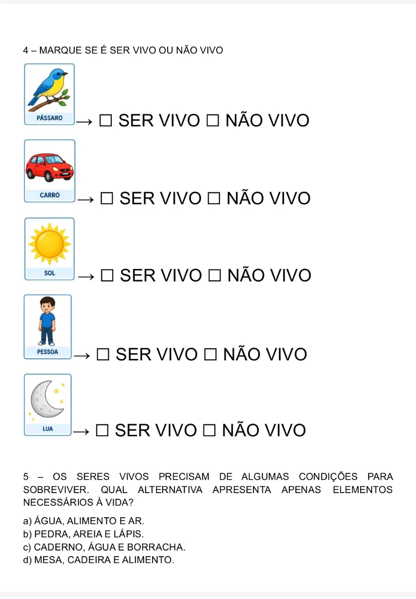 Atividades adaptadas de Ciências para 6° ano e EJA — amostra 3: Material adaptado para trabalhar a identificação e…