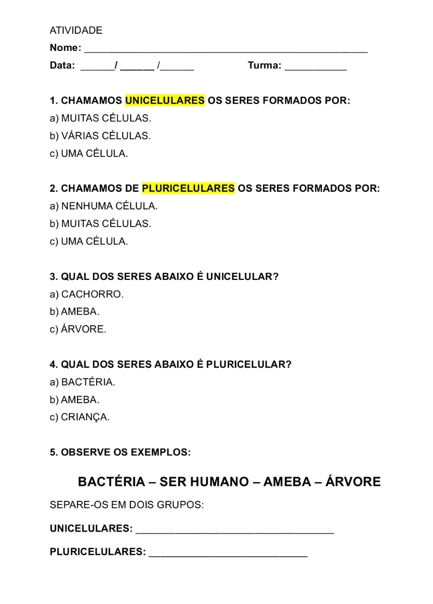 Atividades adaptadas de Ciências para 6° ano e EJA — amostra 6: Material adaptado para trabalhar a identificação e…