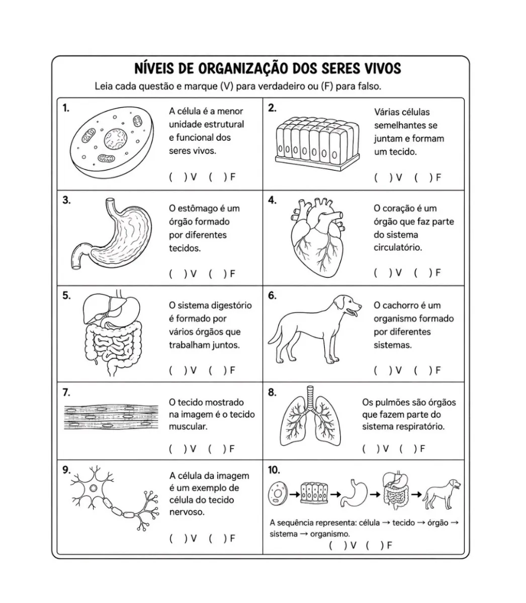 Atividades adaptadas de Ciências para 6° ano e EJA — amostra 7: Material adaptado para trabalhar a identificação e…