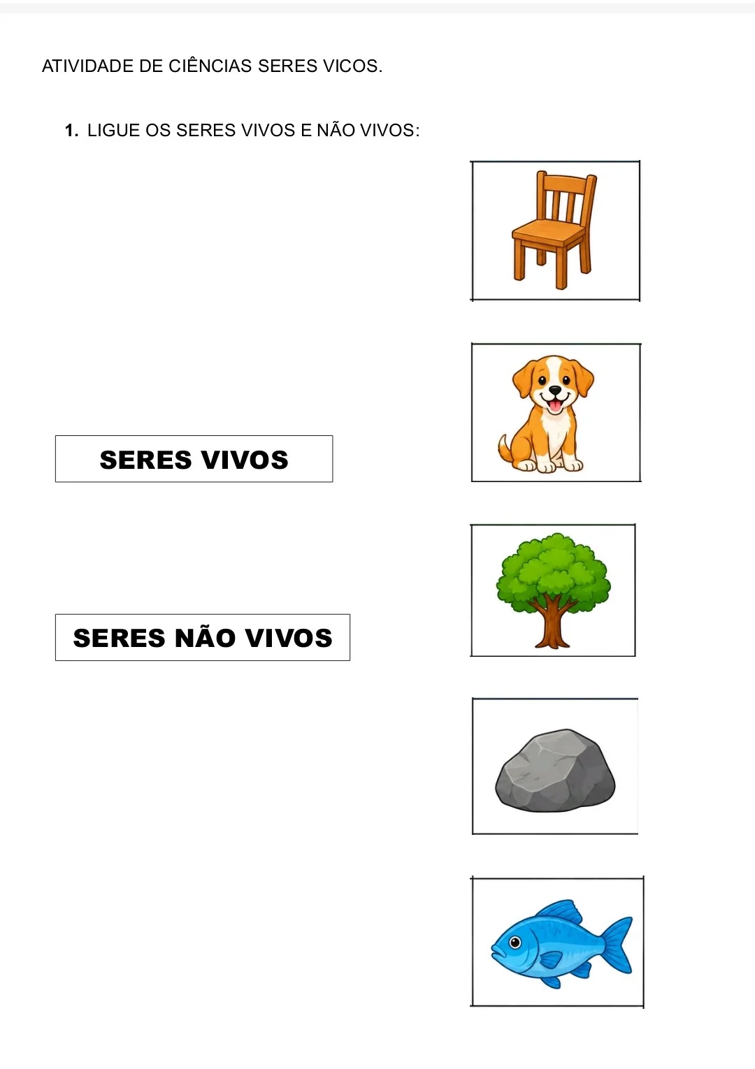 ATIVIDADES ADAPTADAS DE CIÊNCIAS - SERES VIVOS - 6° ANO — amostra 1: ATIVIDADES ADAPTADAS DE CIÊNCIAS – SERES VIVOS,…