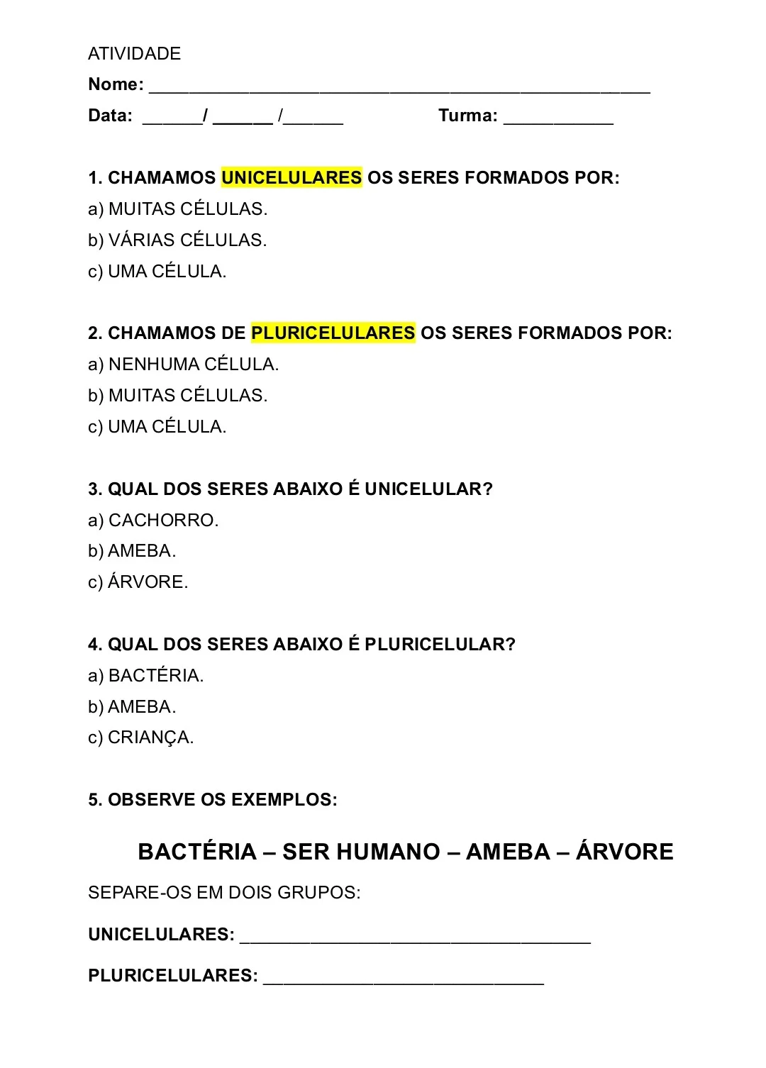 ATIVIDADES ADAPTADAS DE CIÊNCIAS - SERES VIVOS - 6° ANO — amostra 6: Atividades Adaptadas de Ciências sobre seres vivos,…